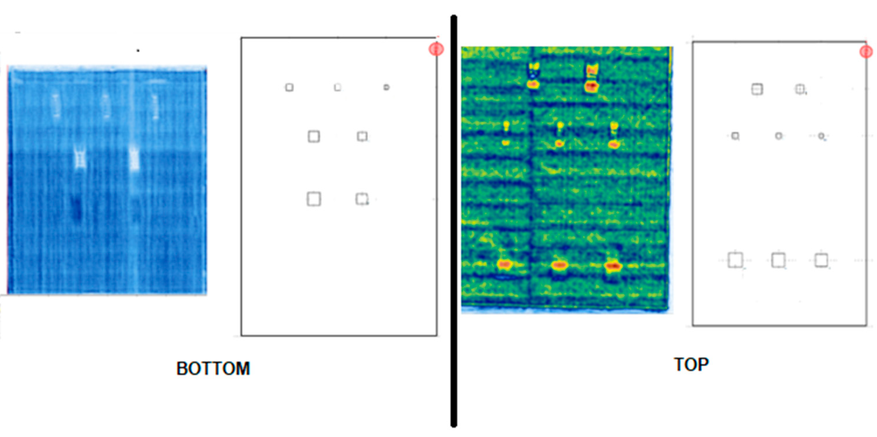 Preprints 84860 g013