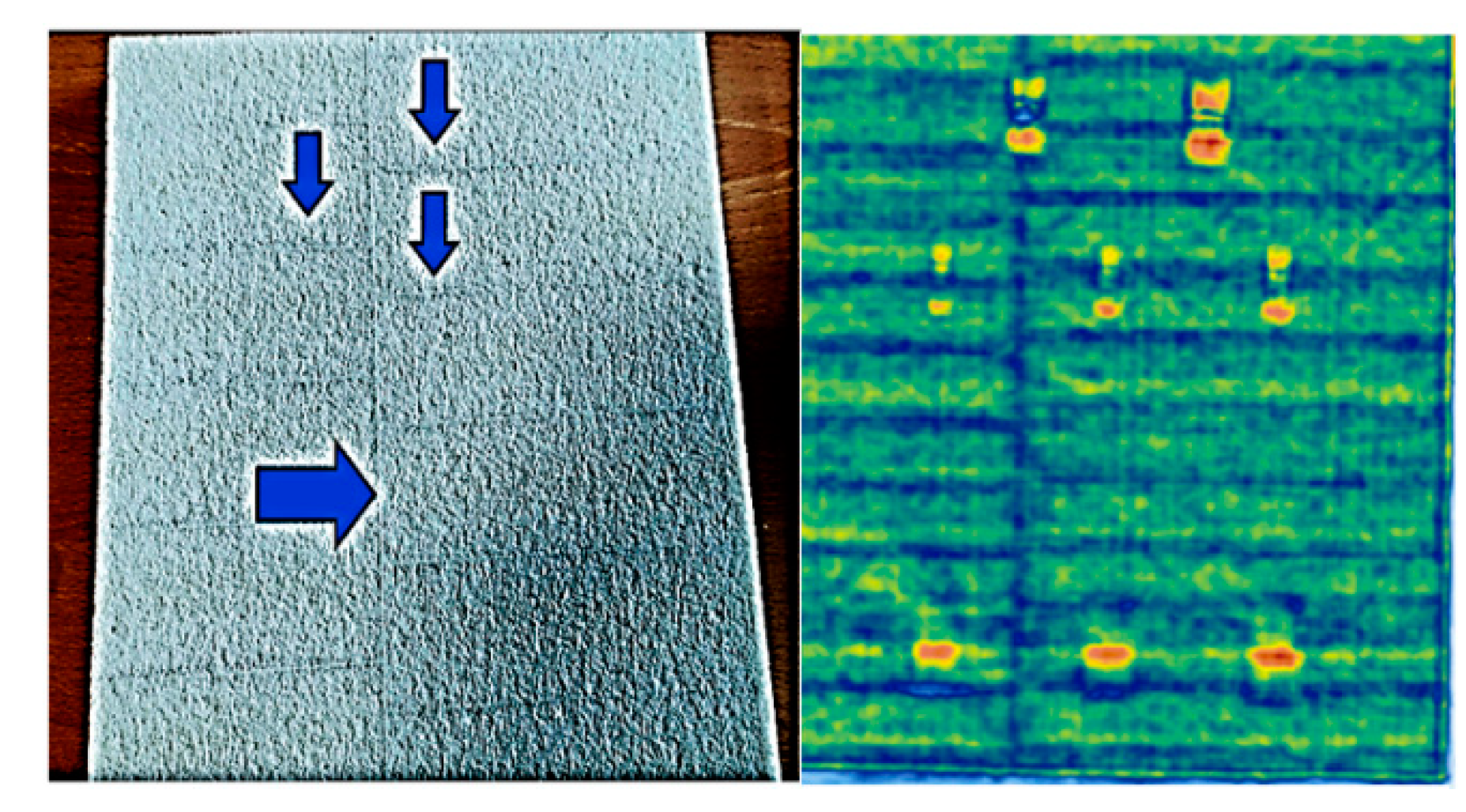 Preprints 84860 g015