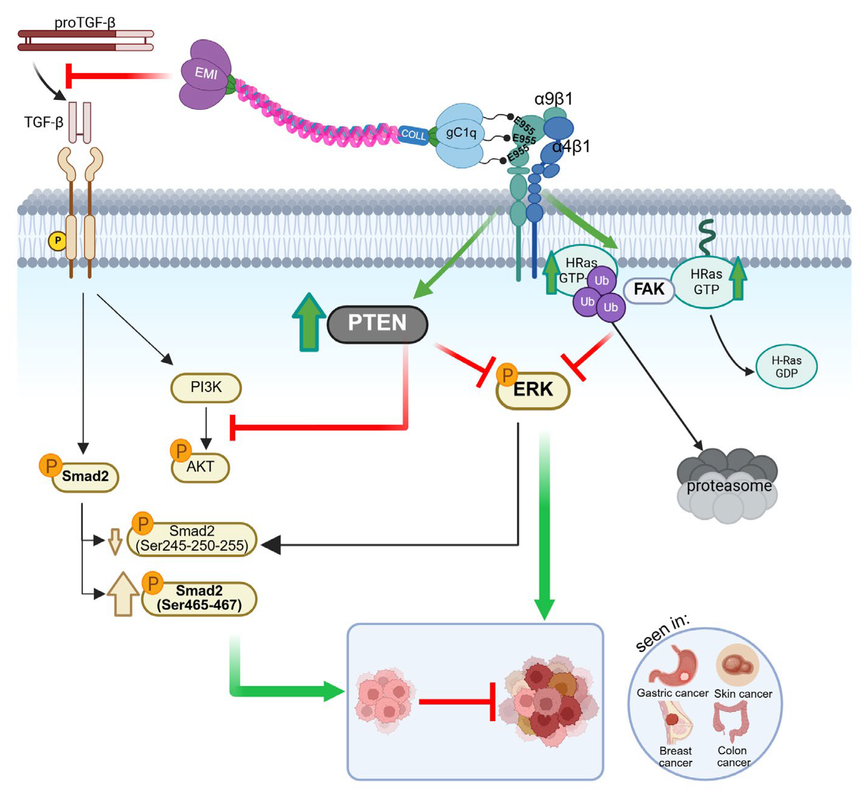 Preprints 161740 g002