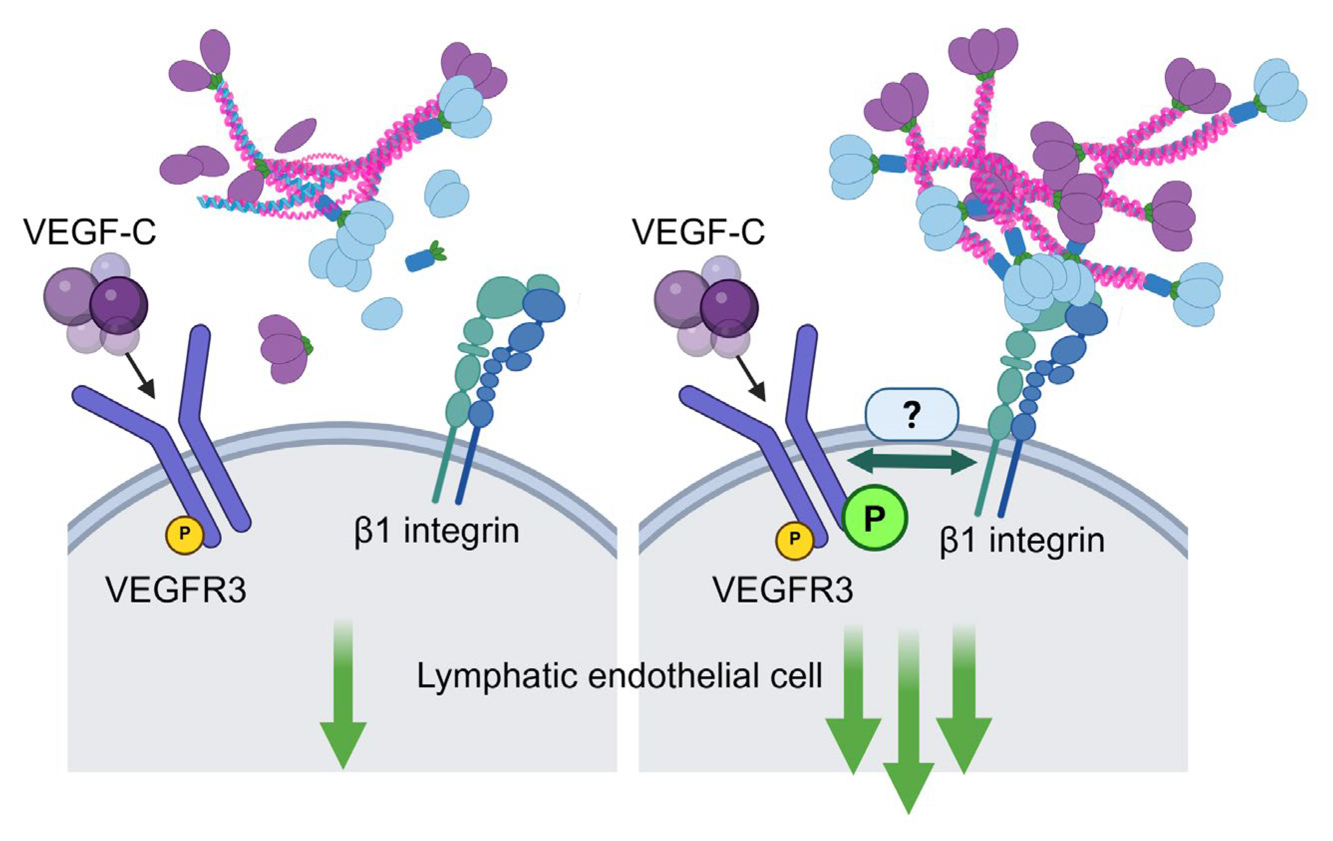 Preprints 161740 g003