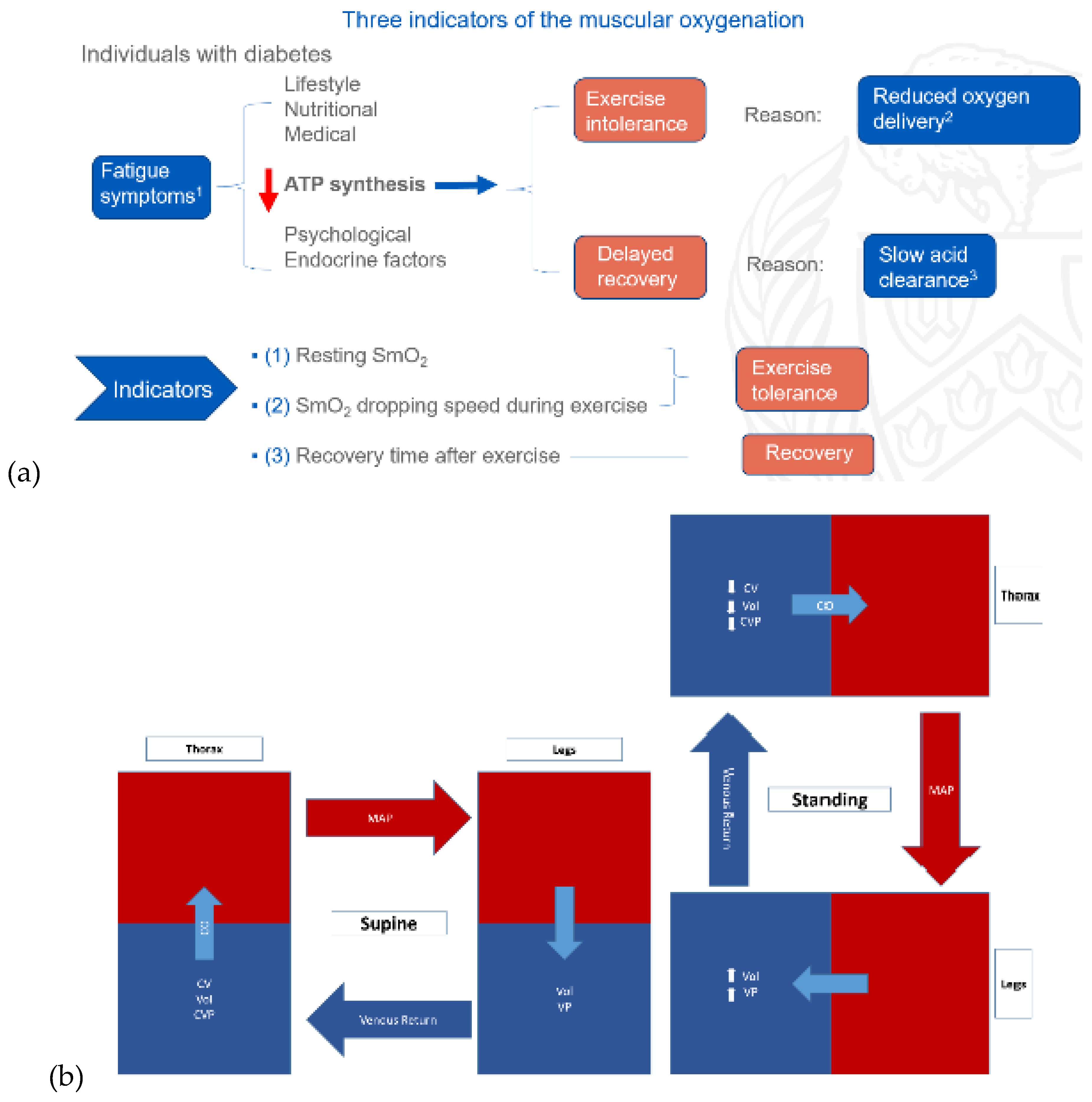 Preprints 94807 g002a