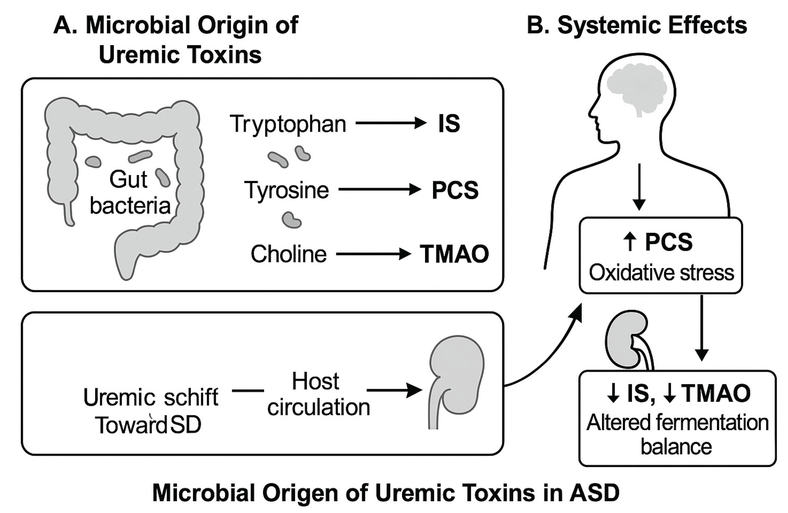 Preprints 164485 g001