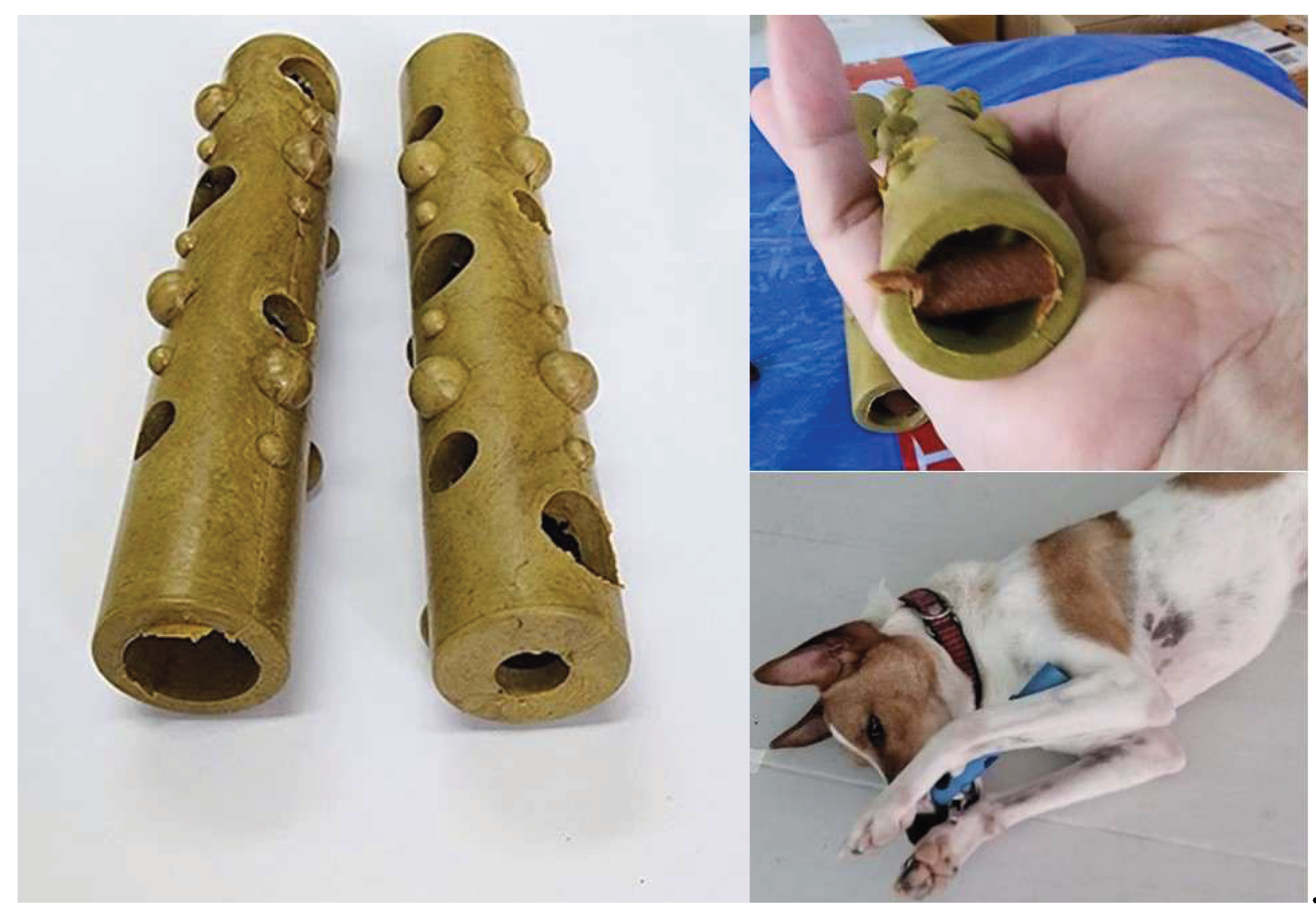 Preprints 176659 g001