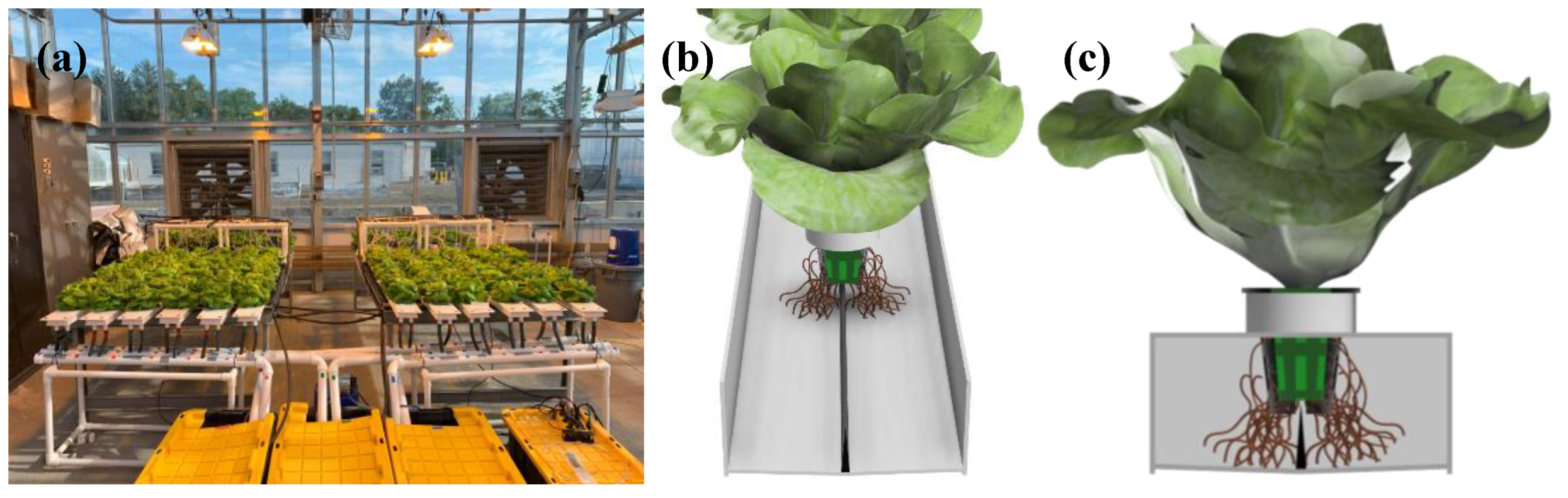 Preprints 158973 g001