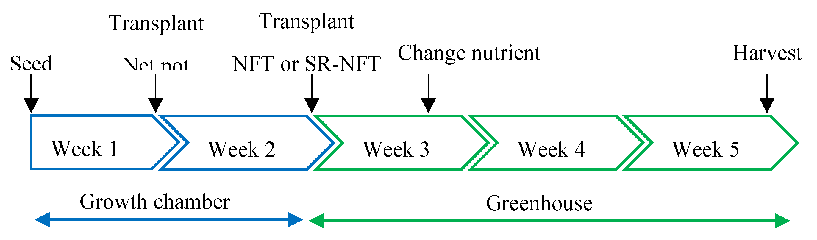Preprints 158973 g002