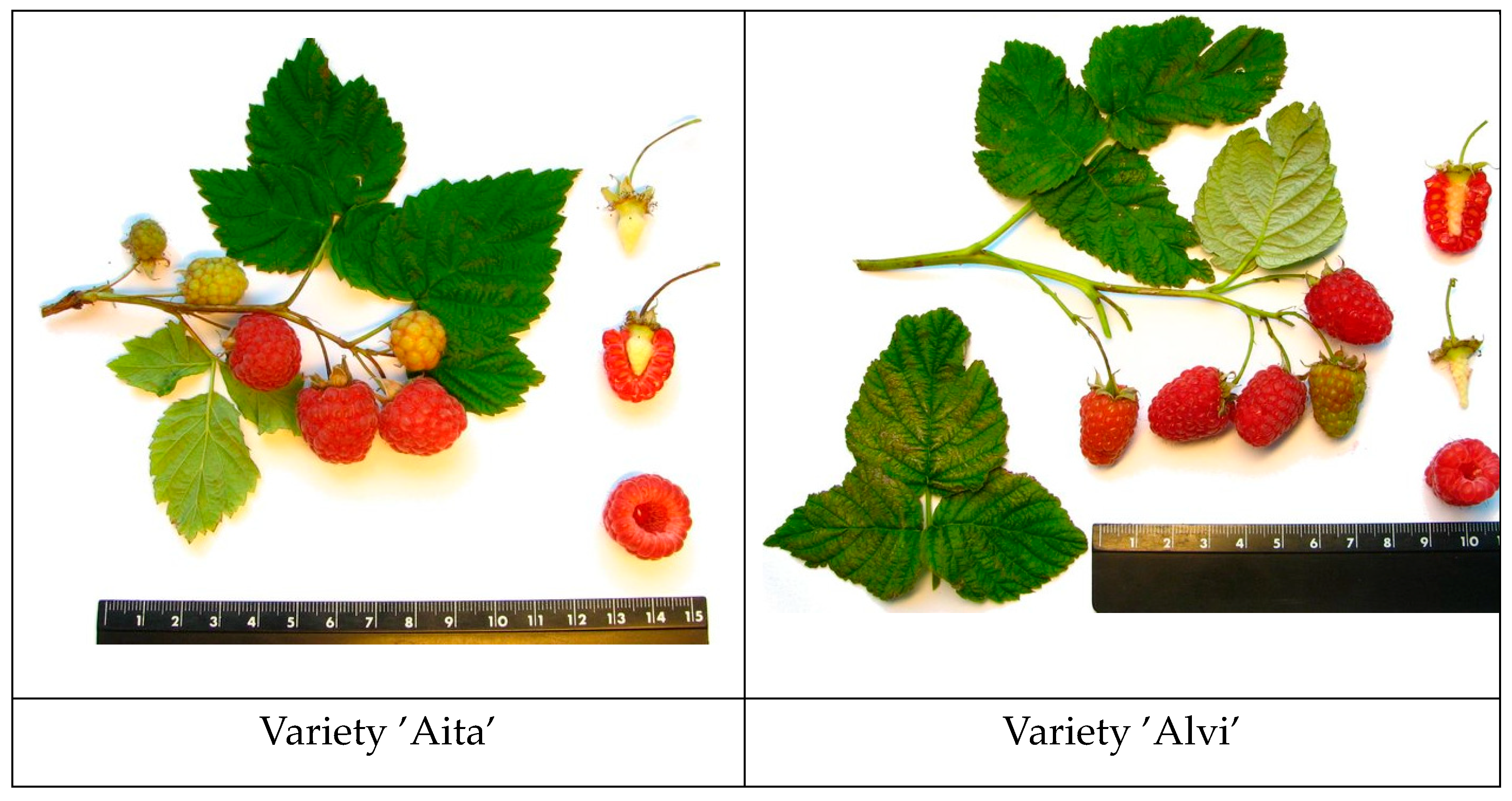 Preprints 119584 g0a1a