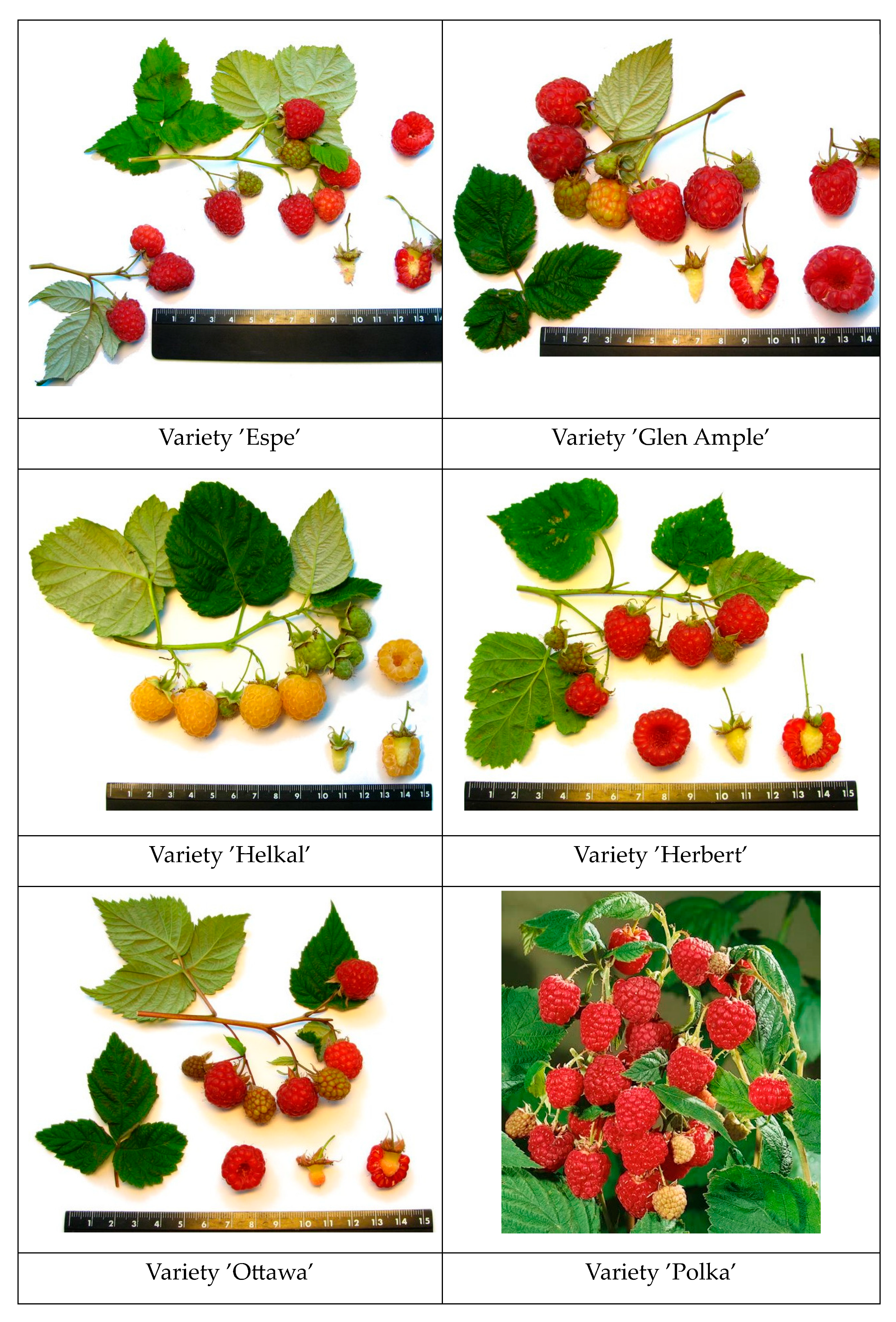 Preprints 119584 g0a1b