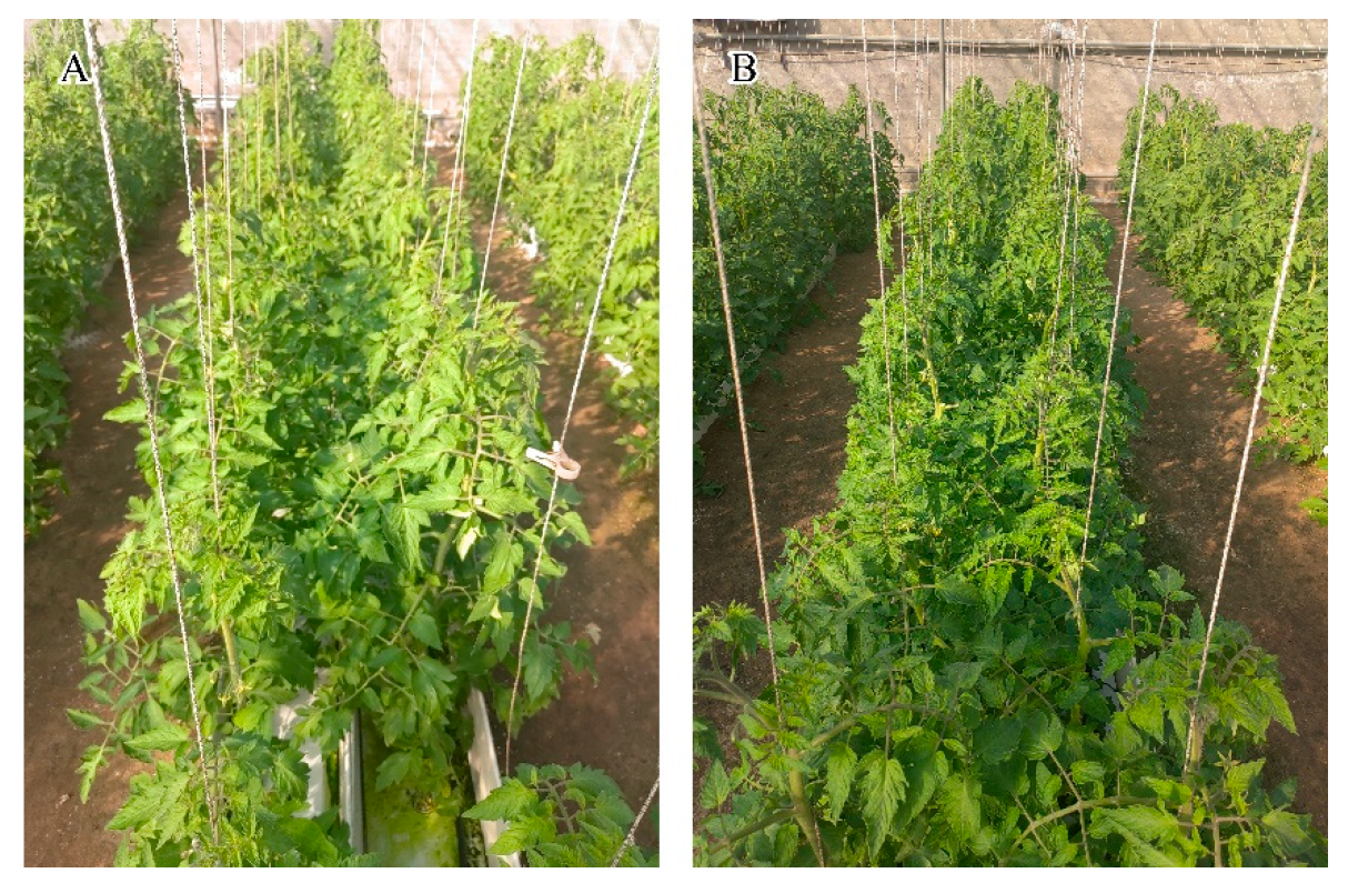 Preprints 193572 g001