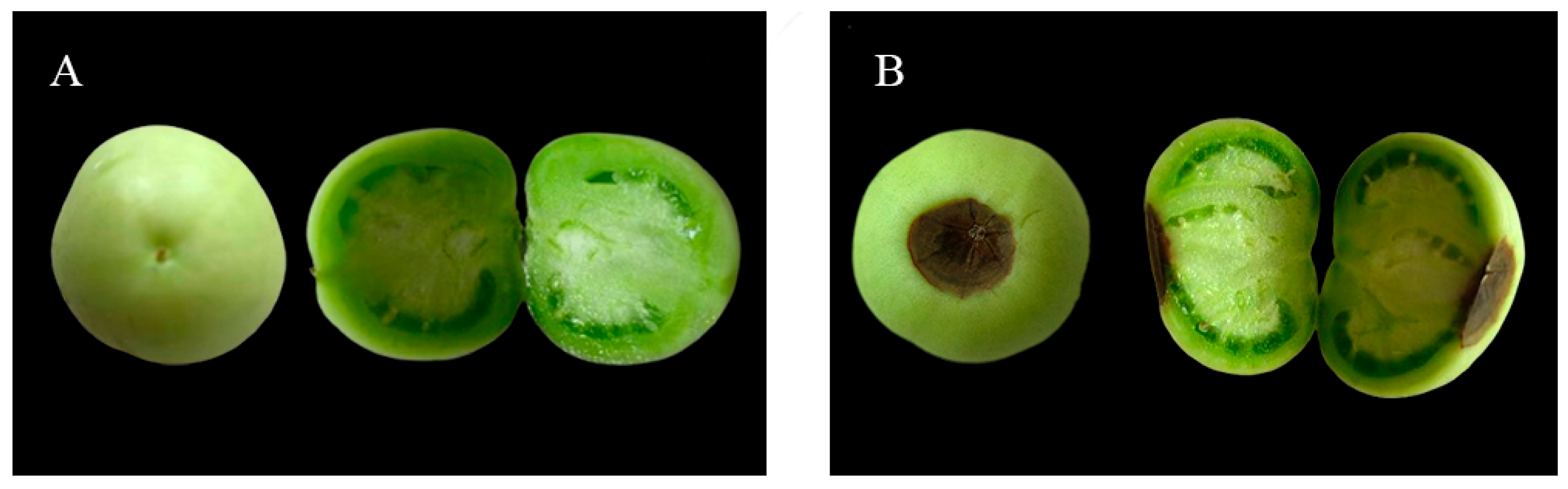Preprints 193572 g003