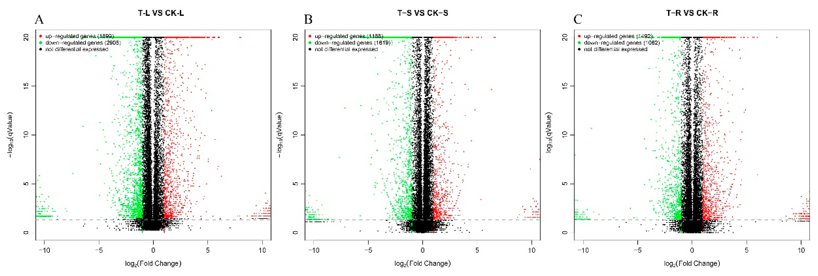 Preprints 193572 g008