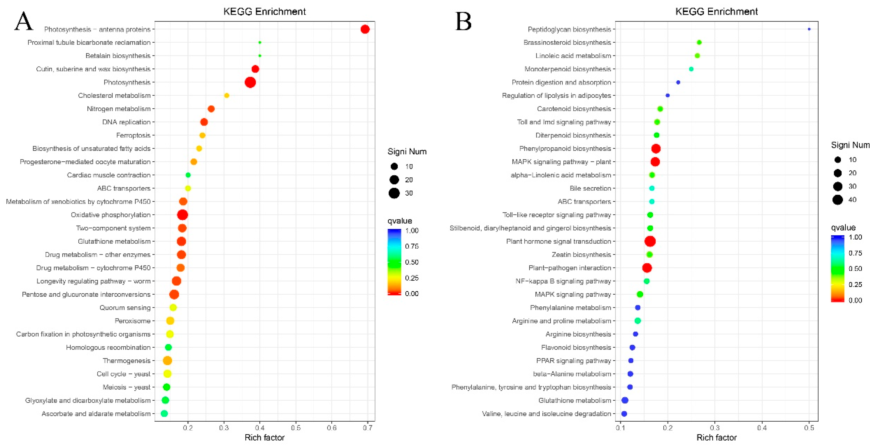 Preprints 193572 g010