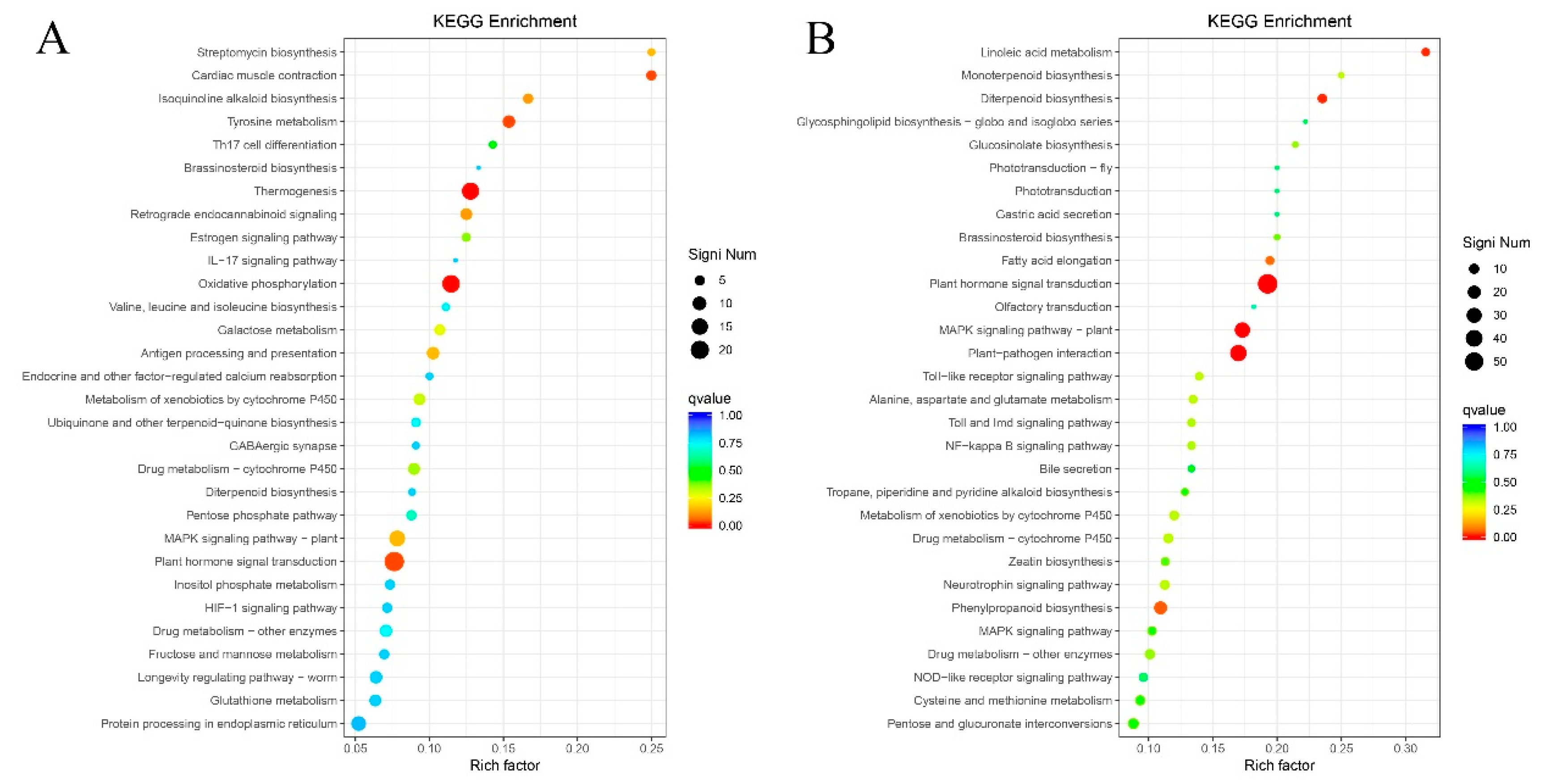 Preprints 193572 g011