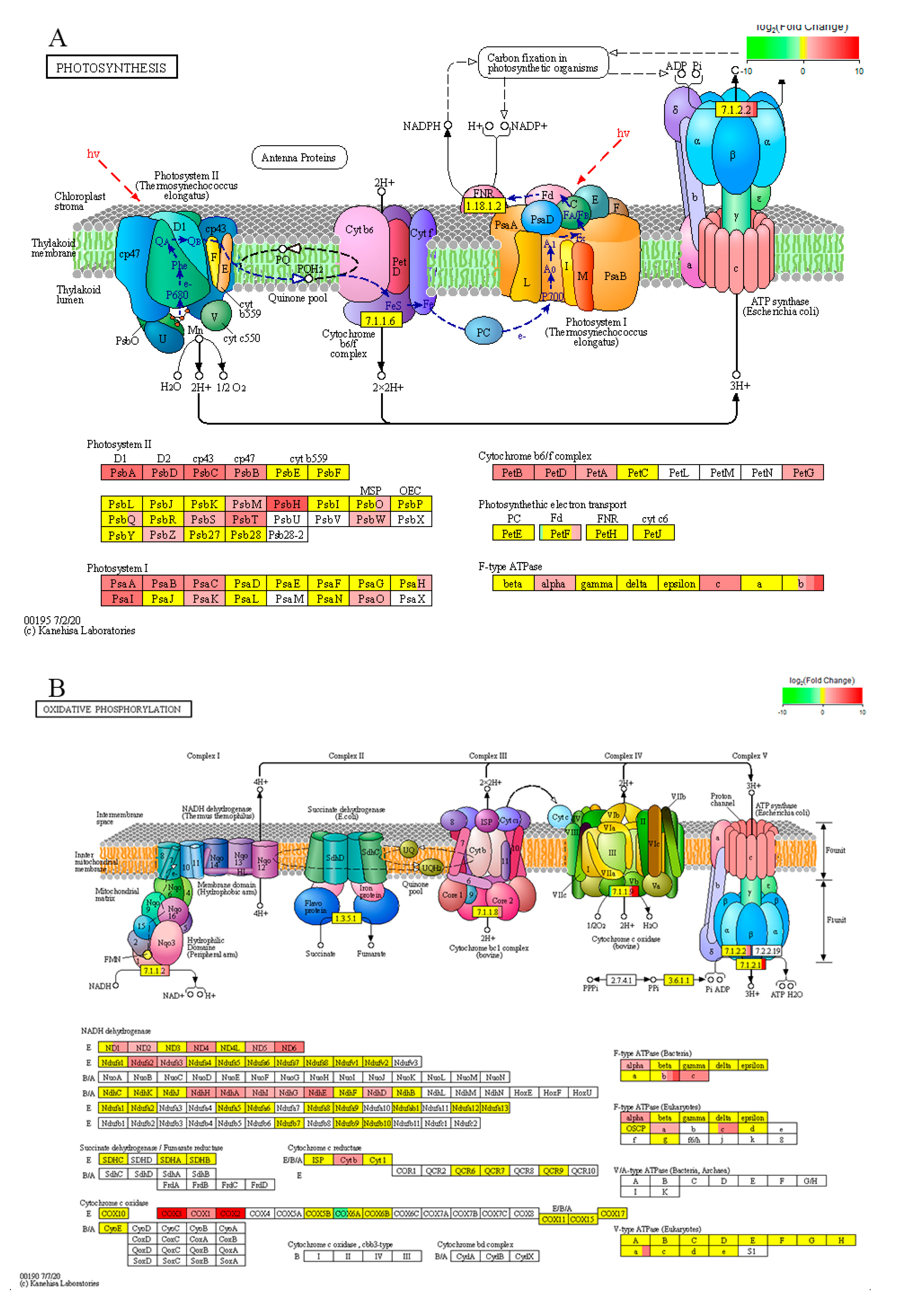 Preprints 193572 g014a