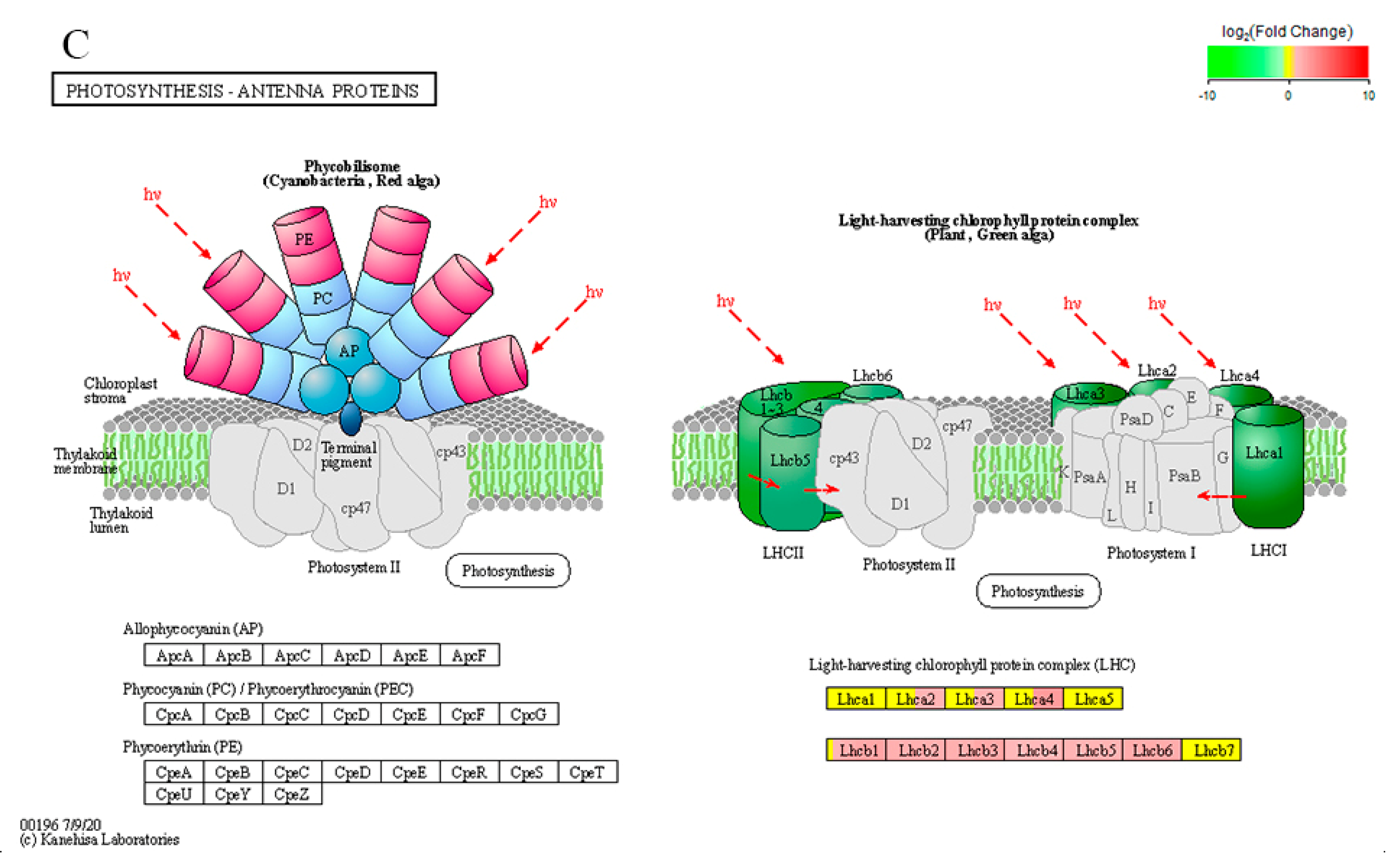 Preprints 193572 g014b