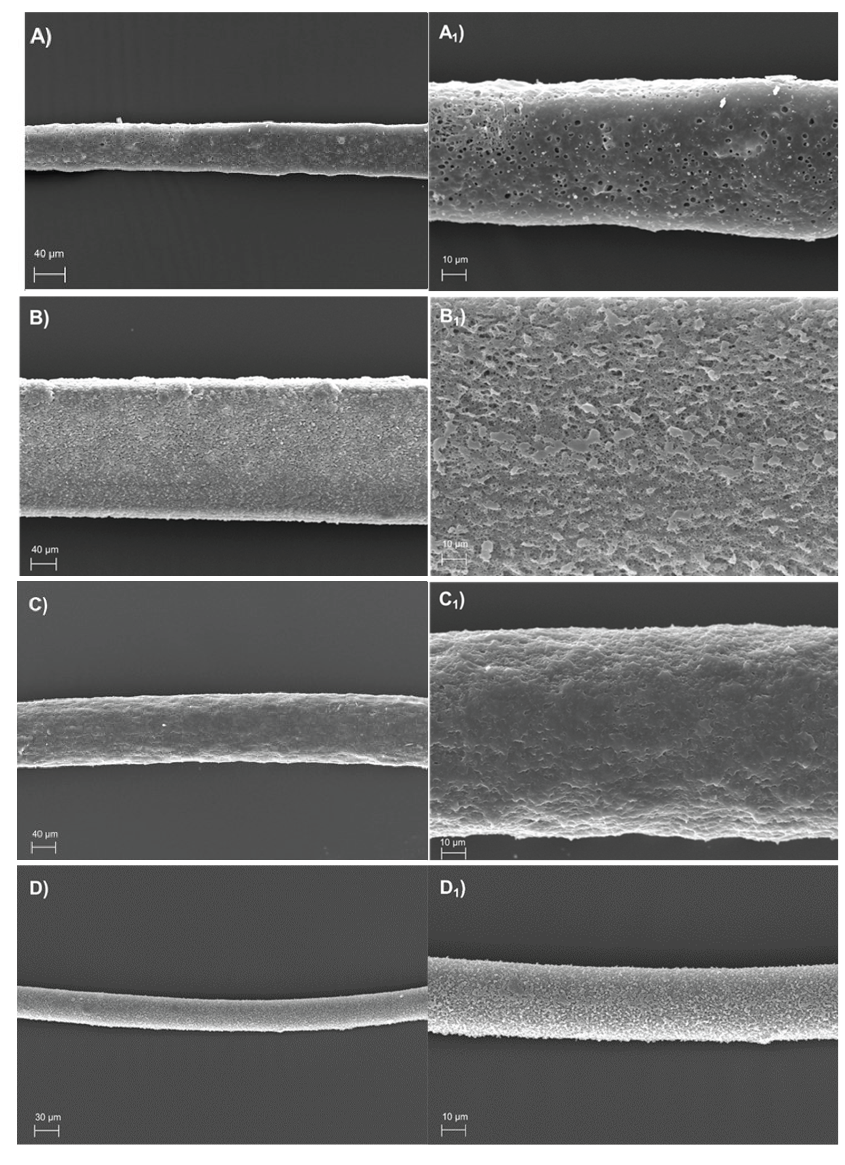 Preprints 166052 g001a