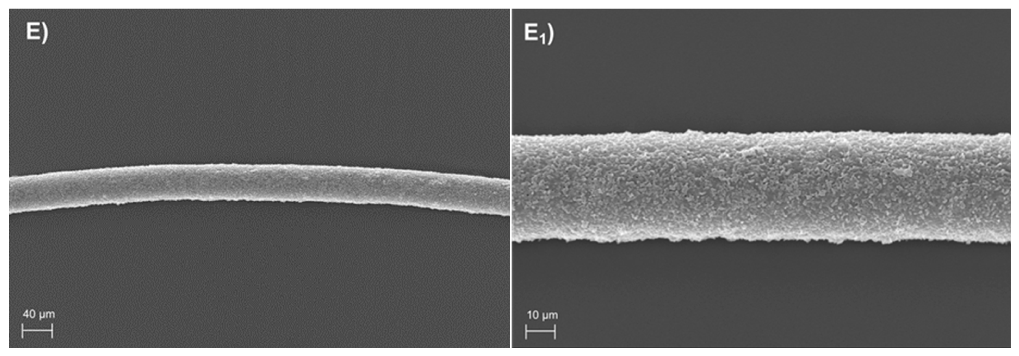 Preprints 166052 g001b