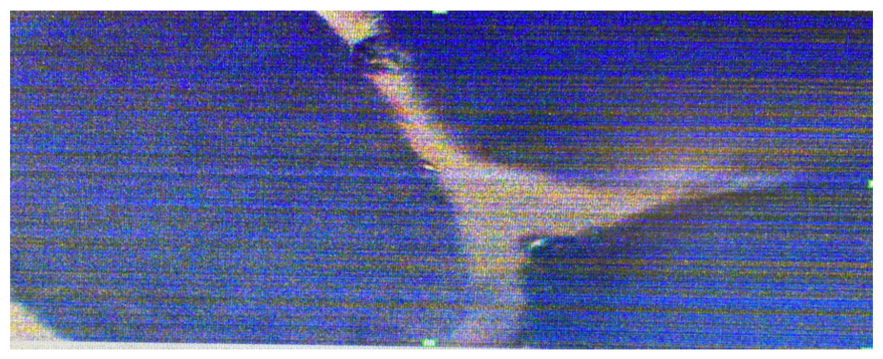 Preprints 146818 g012