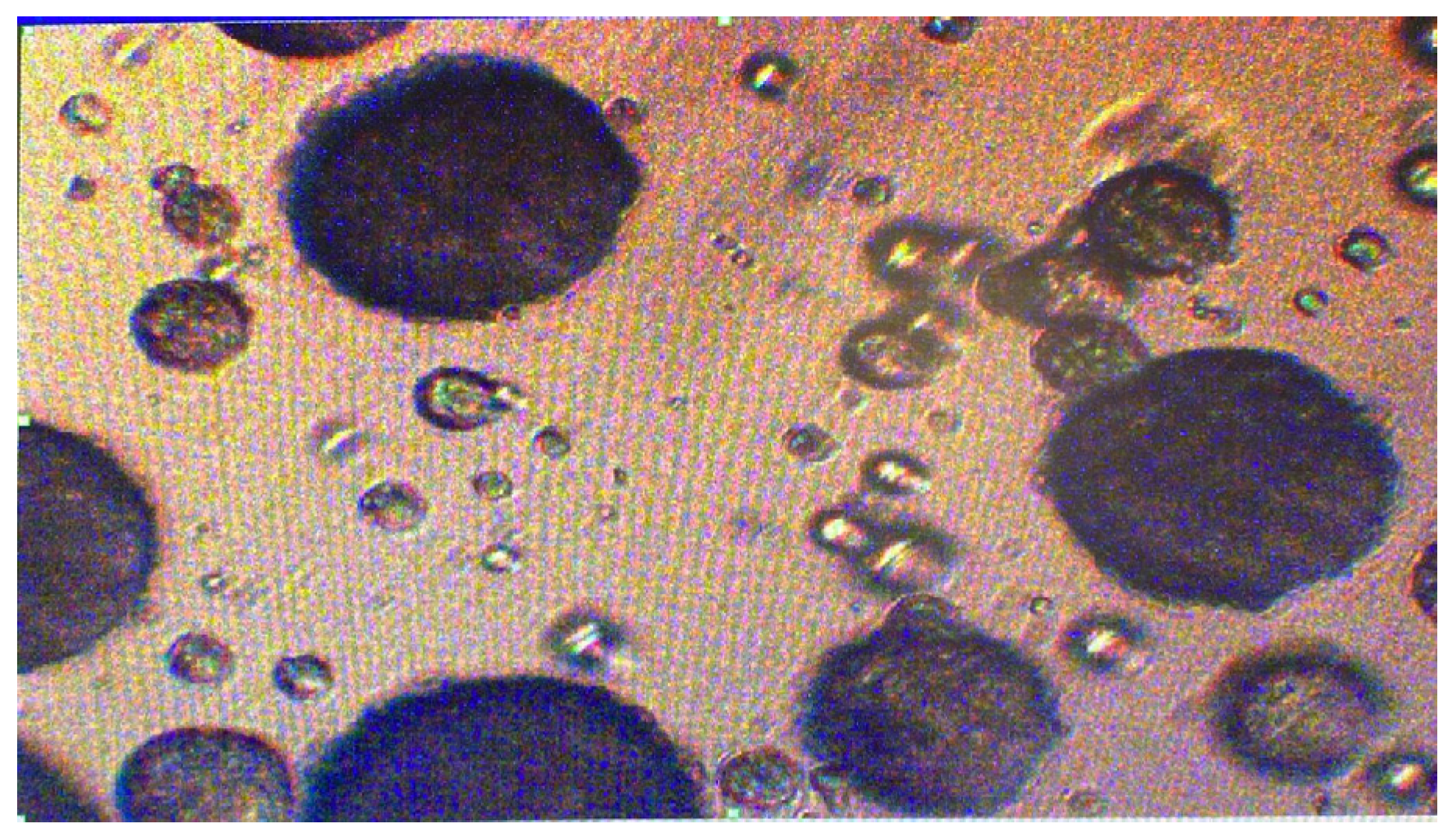 Preprints 146818 g014