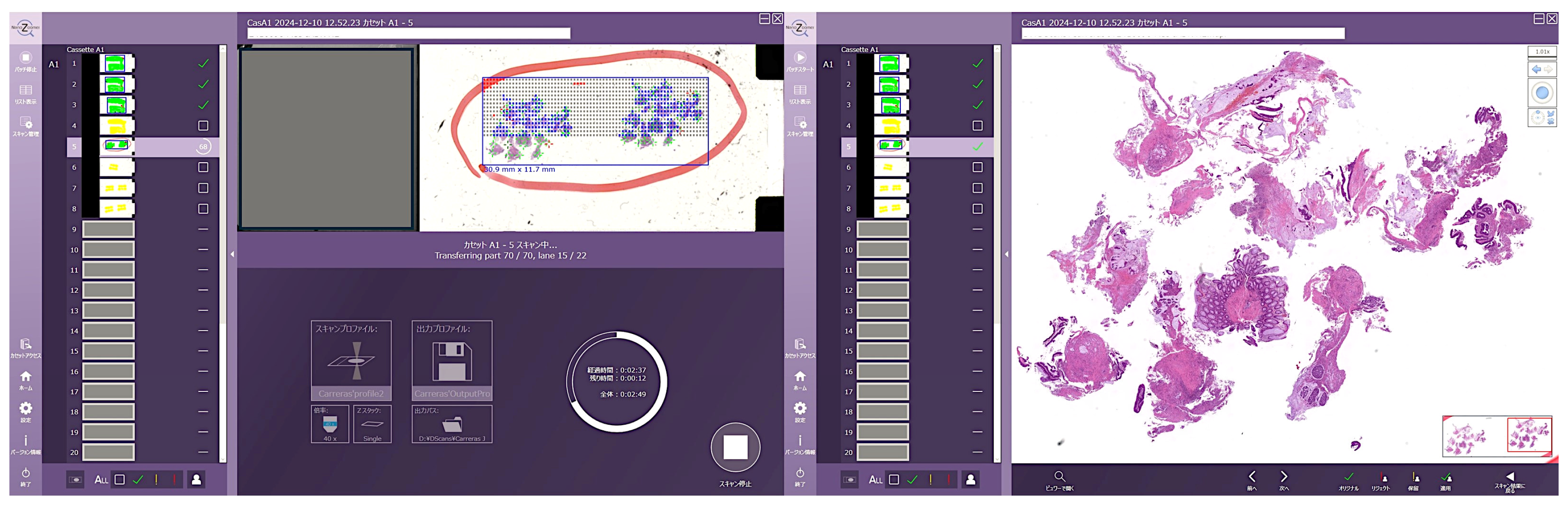 Preprints 142802 g001