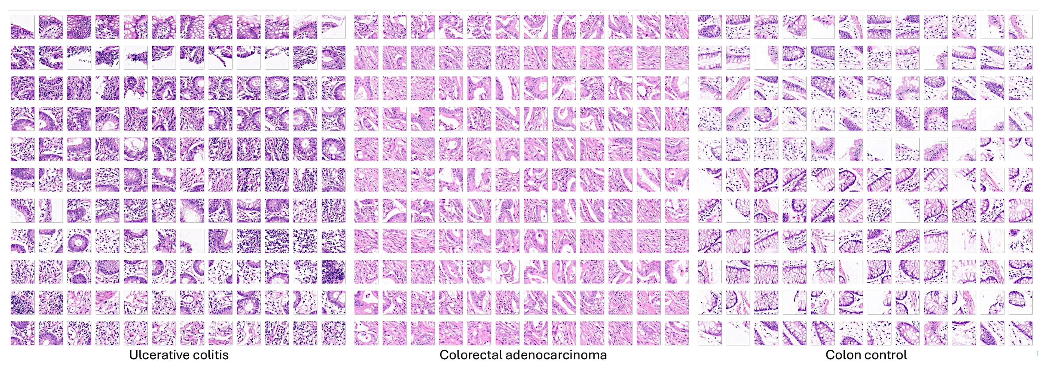 Preprints 142802 g002