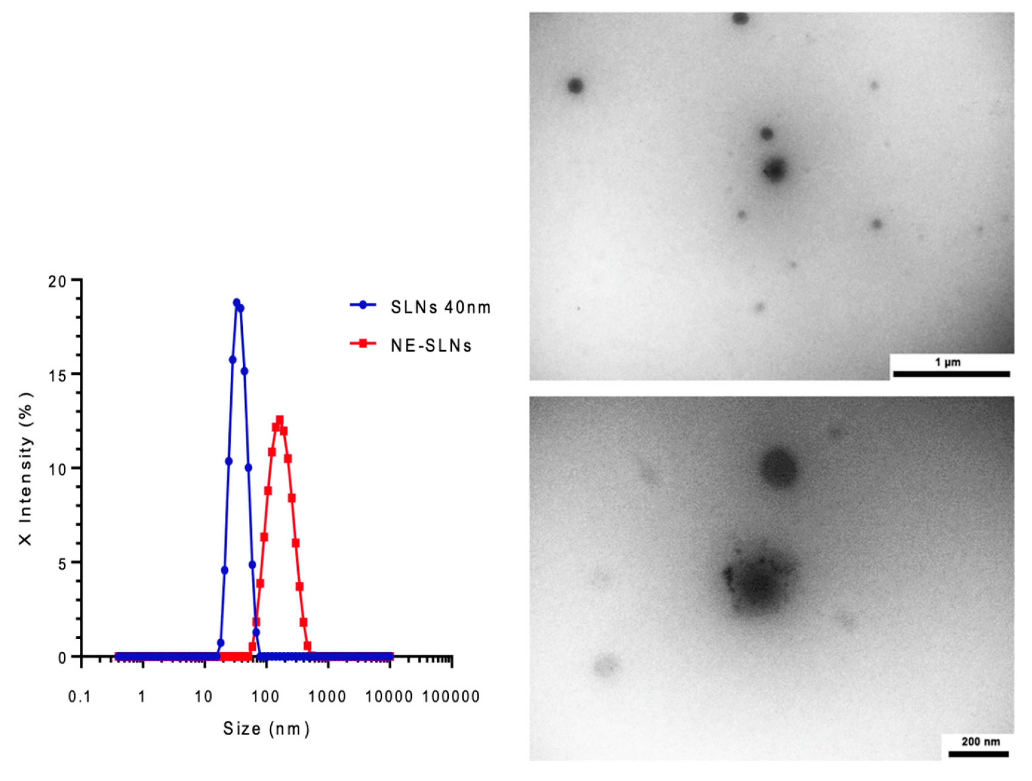 Preprints 158166 g001