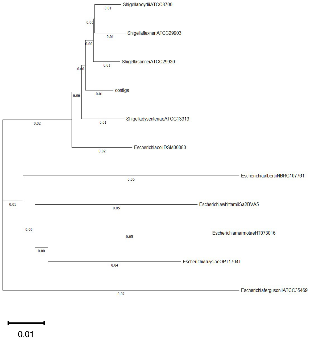 Preprints 216462 g002