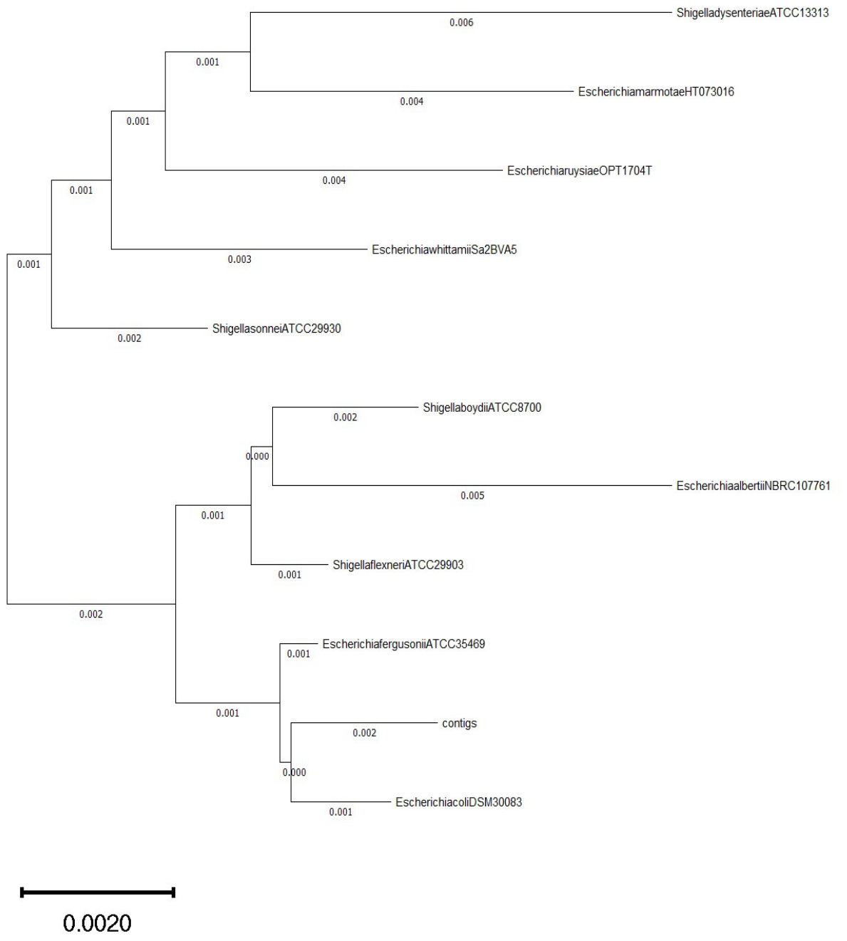 Preprints 216462 g003