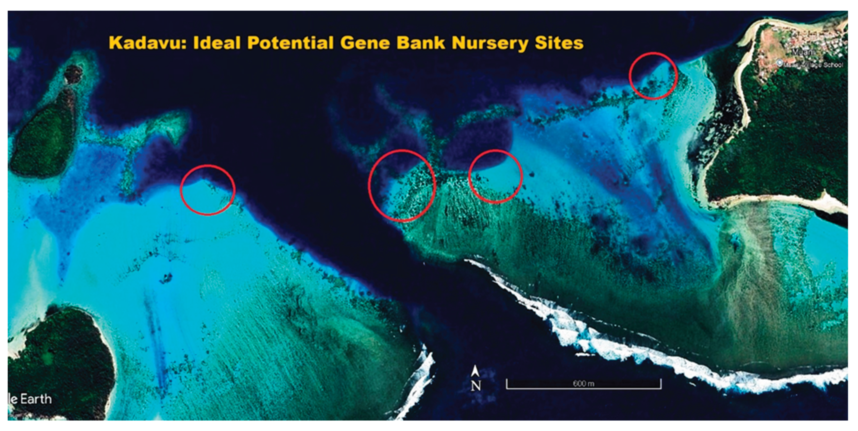 Preprints 168787 g008b