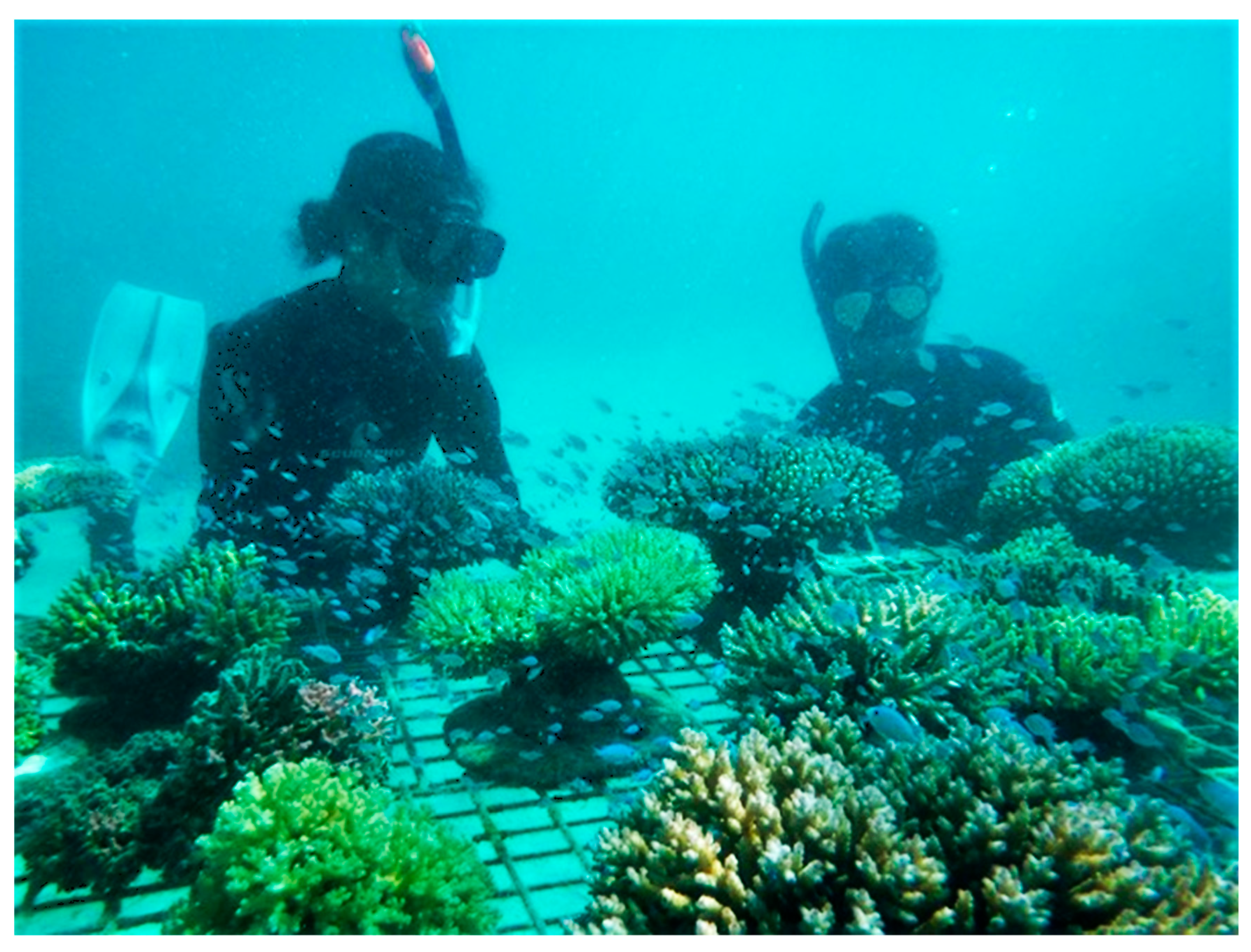 Preprints 168787 g012