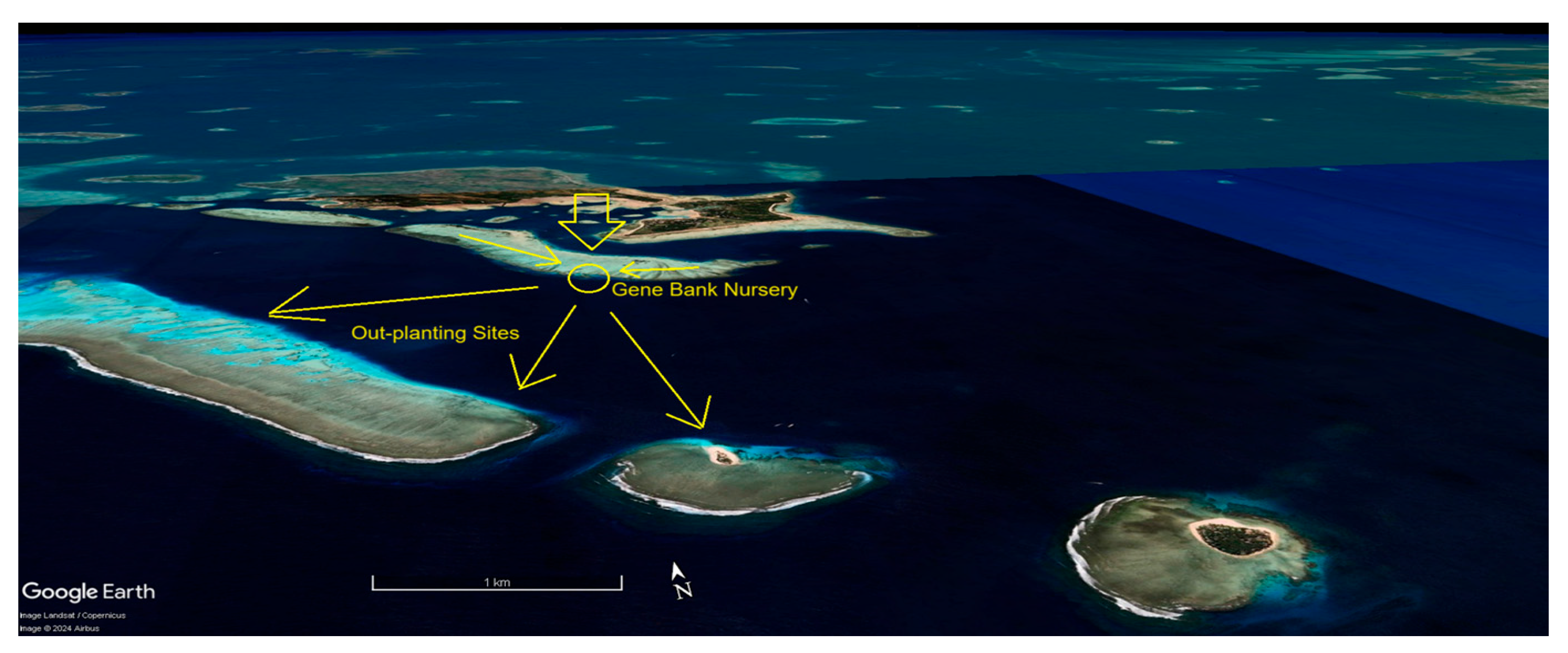 Preprints 168787 g016b