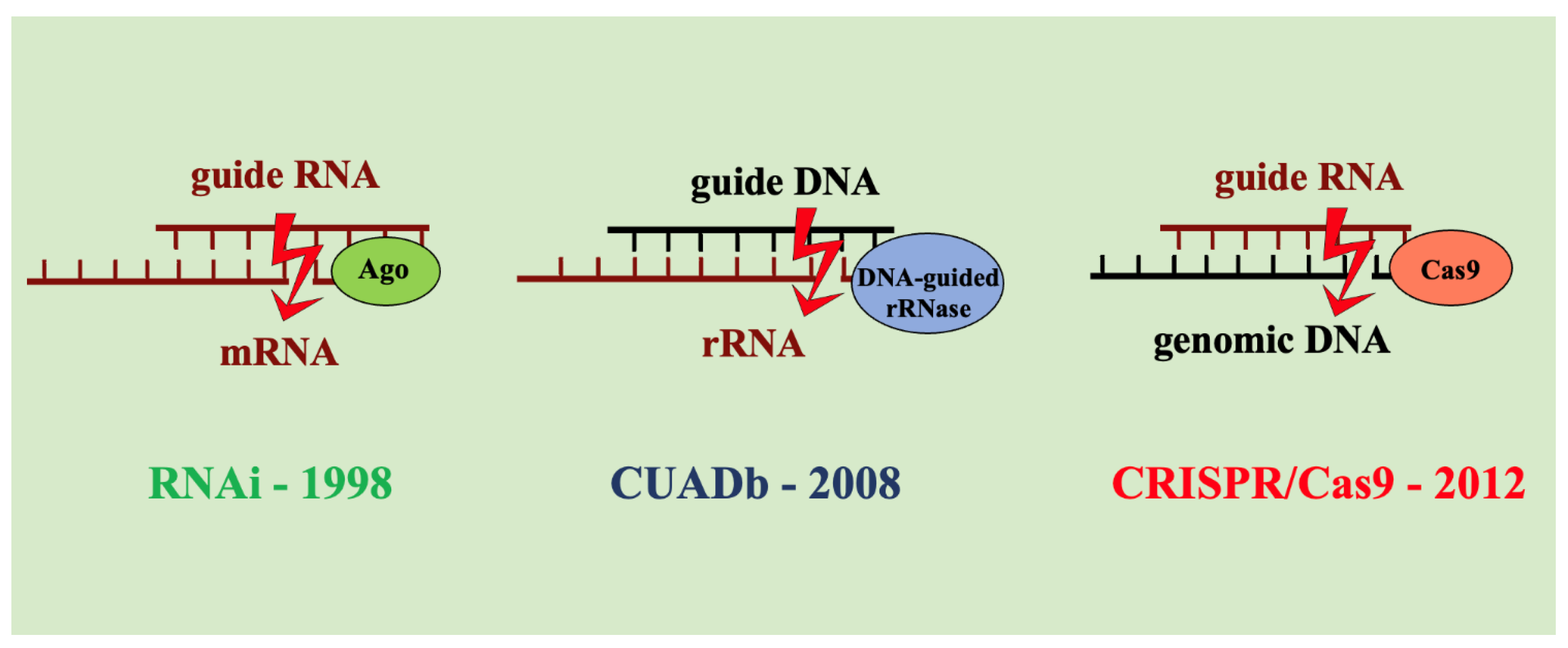 Preprints 174189 g001
