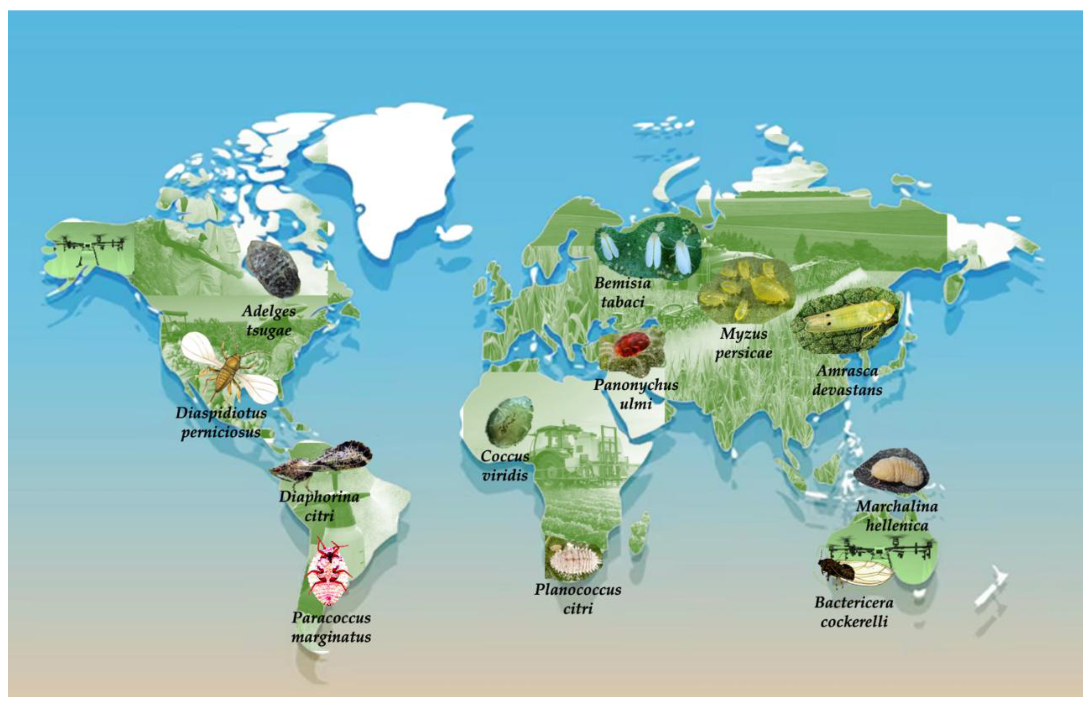 Preprints 174189 g002