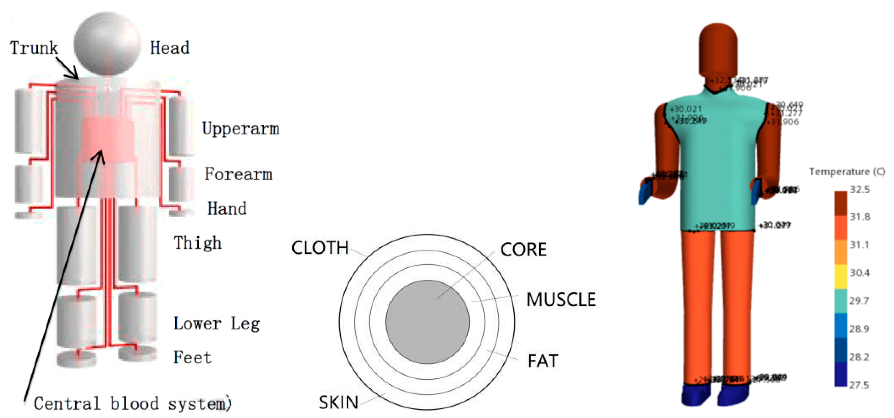 Preprints 93314 g005