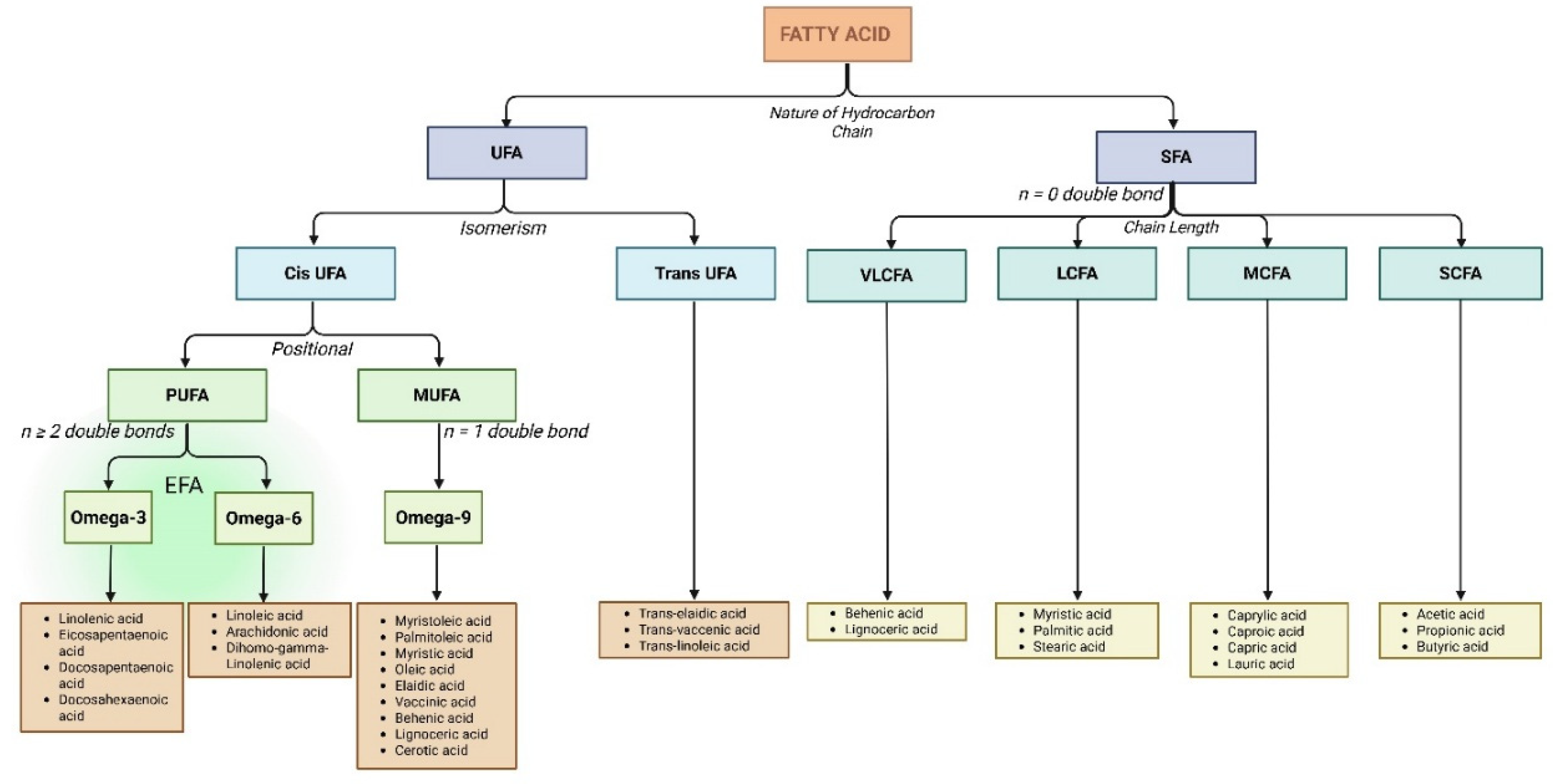 Preprints 205131 g001