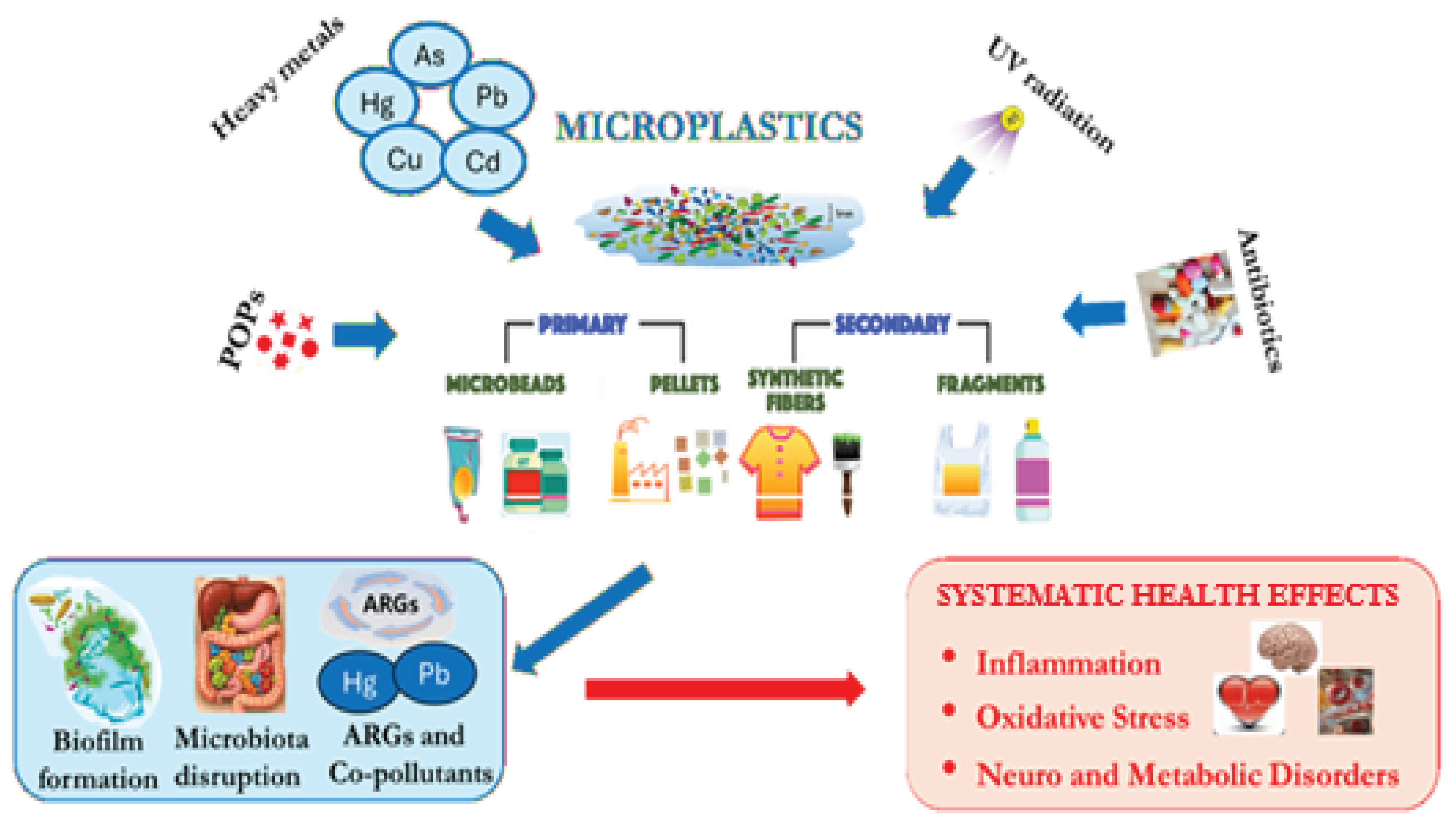 Preprints 206566 g001