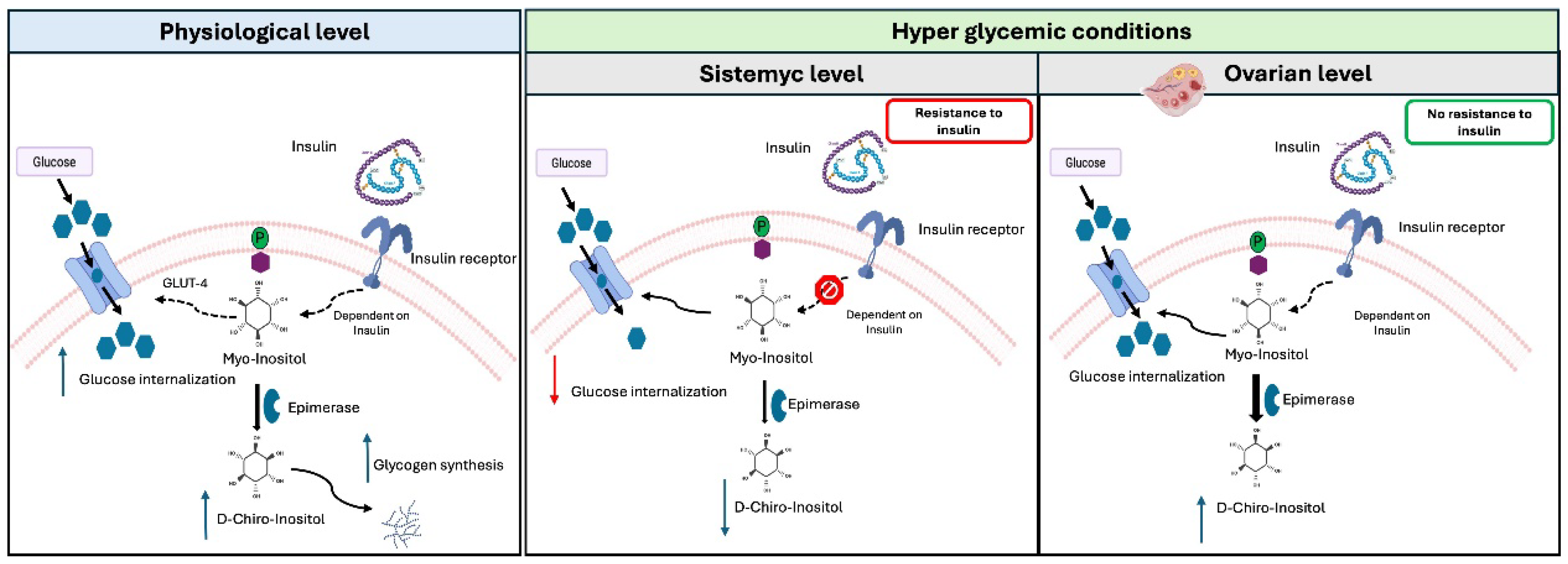 Preprints 137384 g002