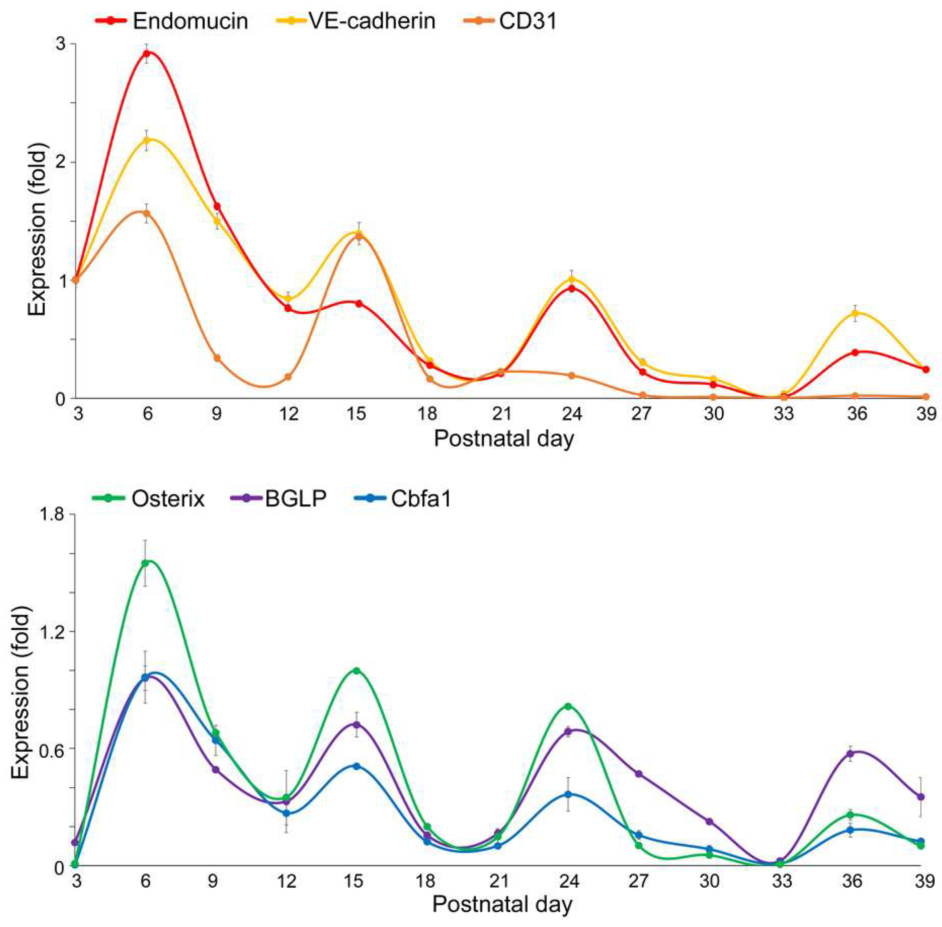 Preprints 206078 g004 Preprints 206078 g004