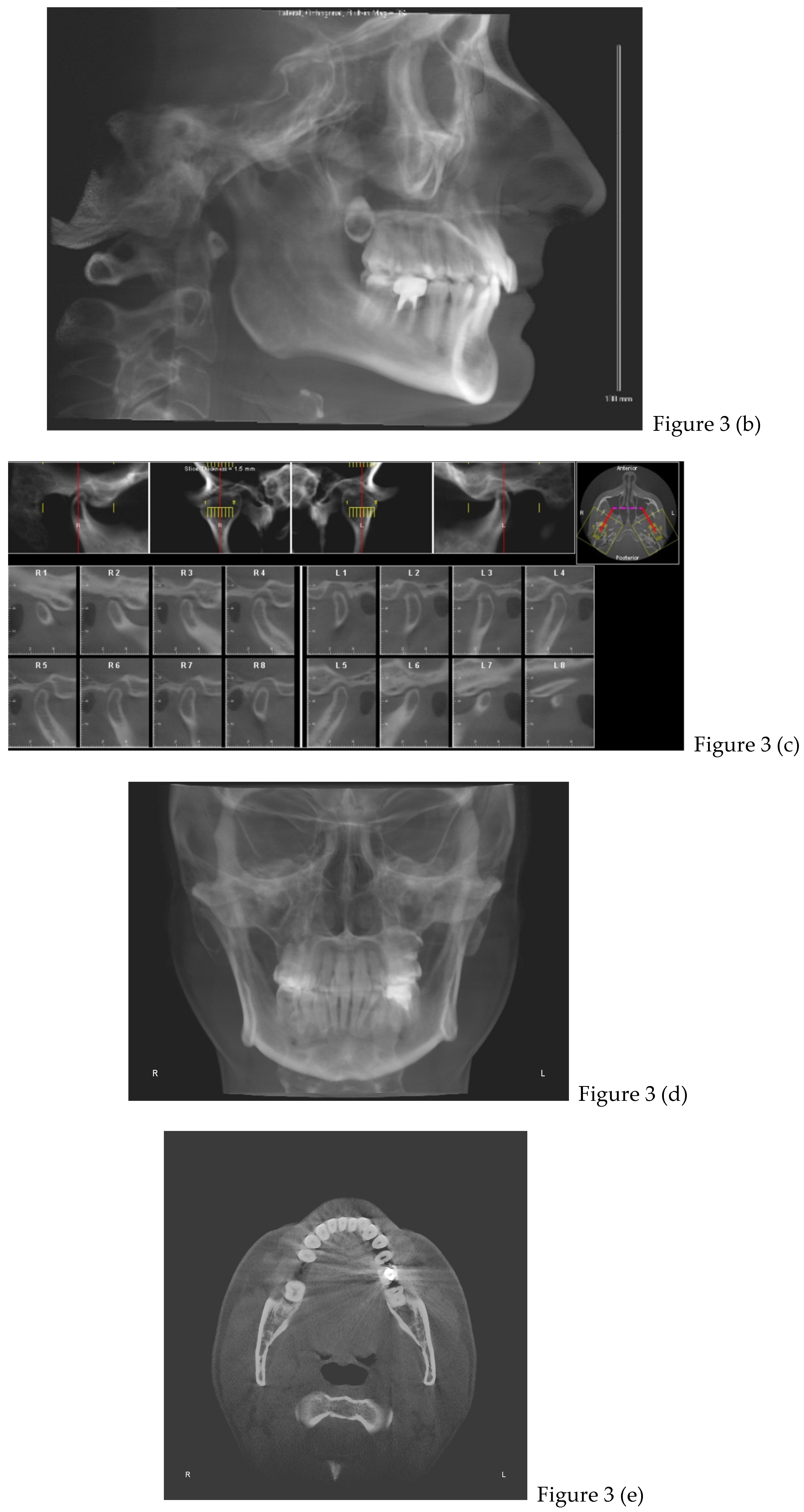 Preprints 168889 g003b