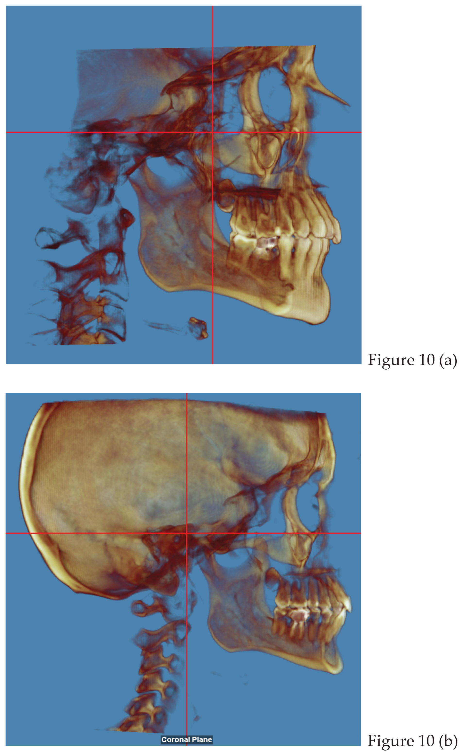 Preprints 168889 g010
