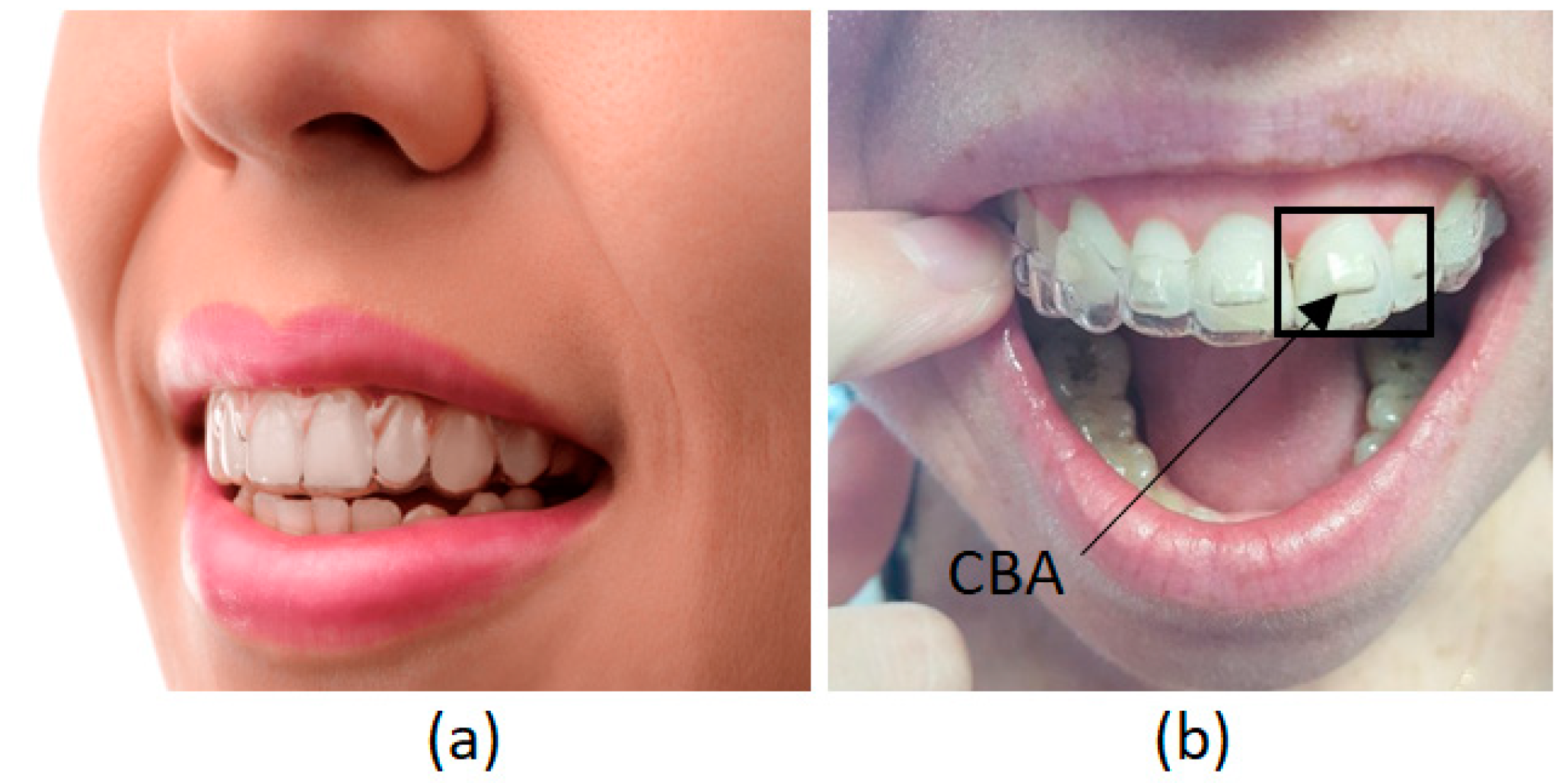 Preprints 96331 g001