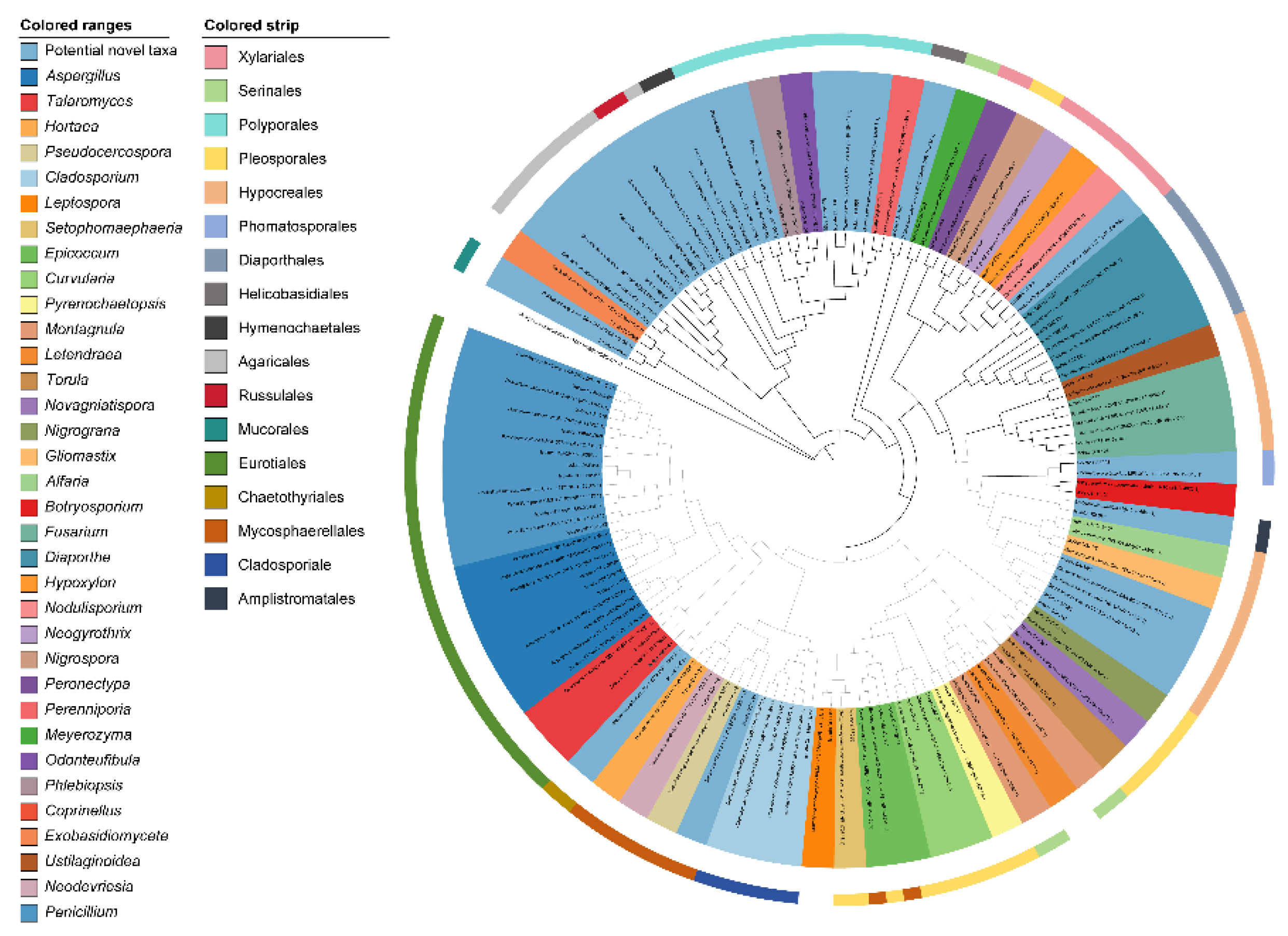 Preprints 200282 g002