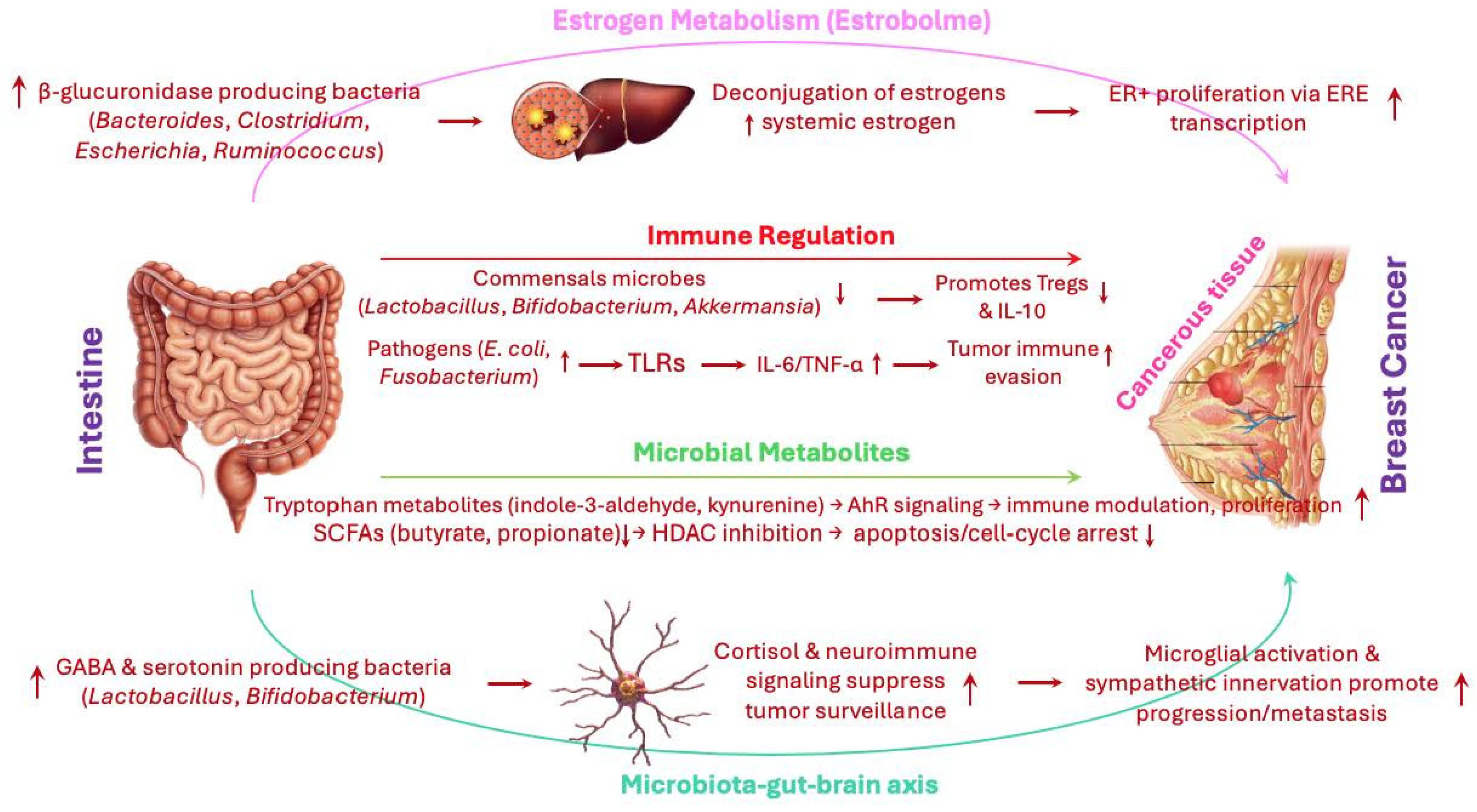 Preprints 177928 g002