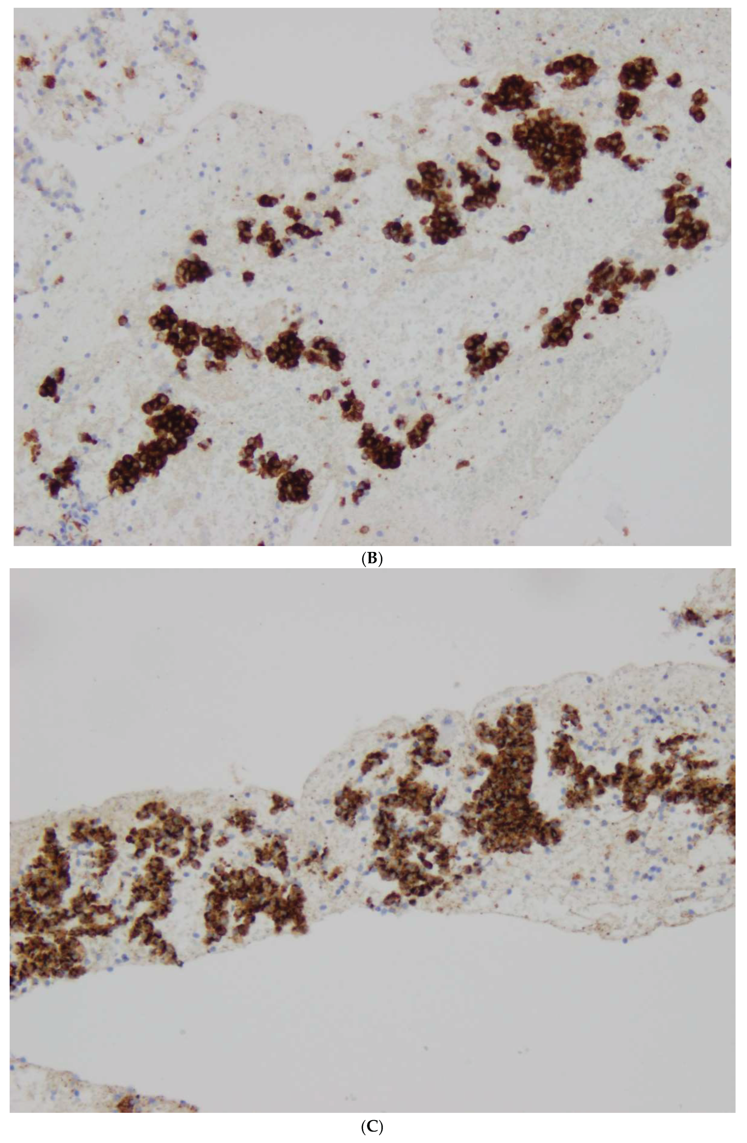 Preprints 166141 g003b
