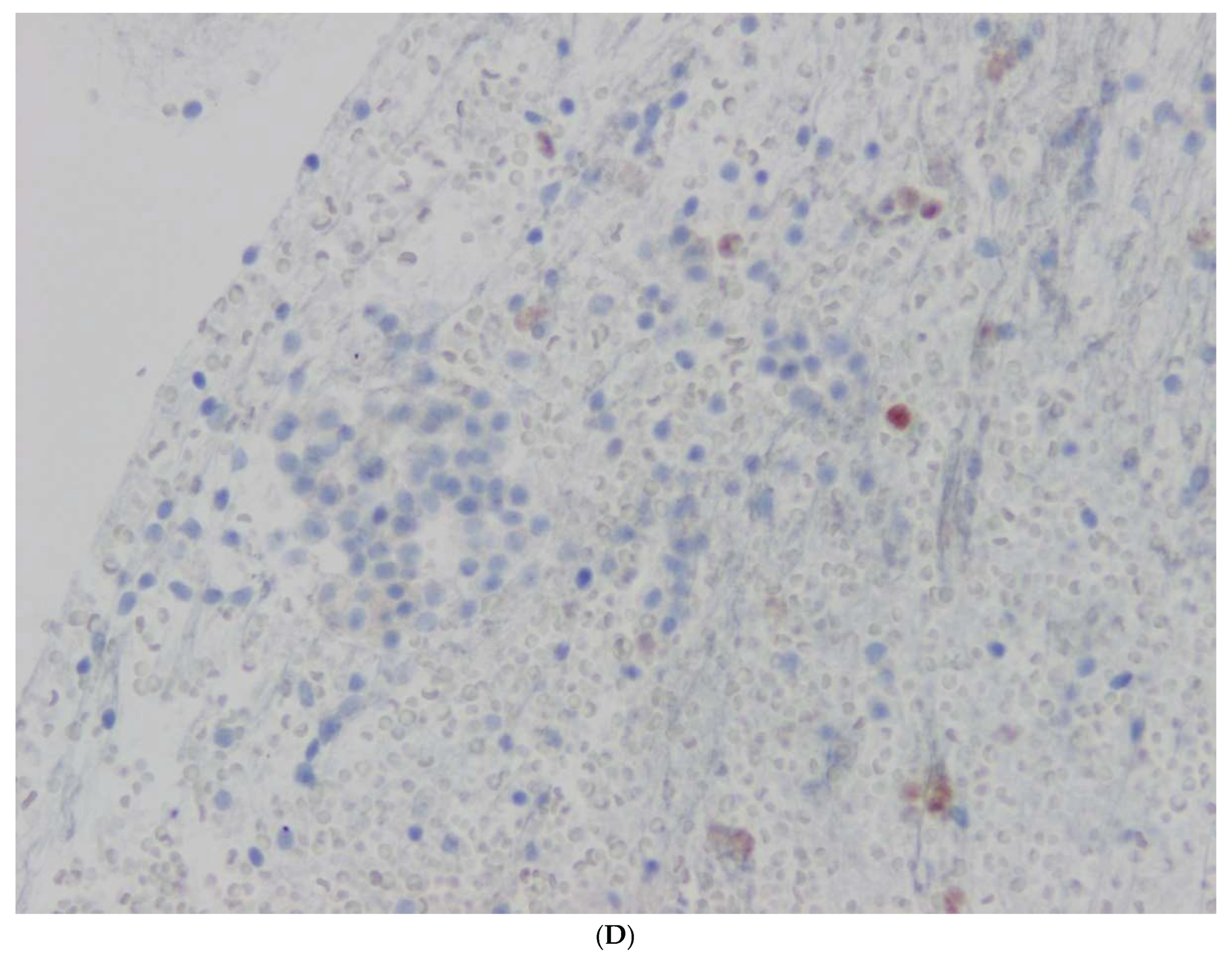 Preprints 166141 g003c