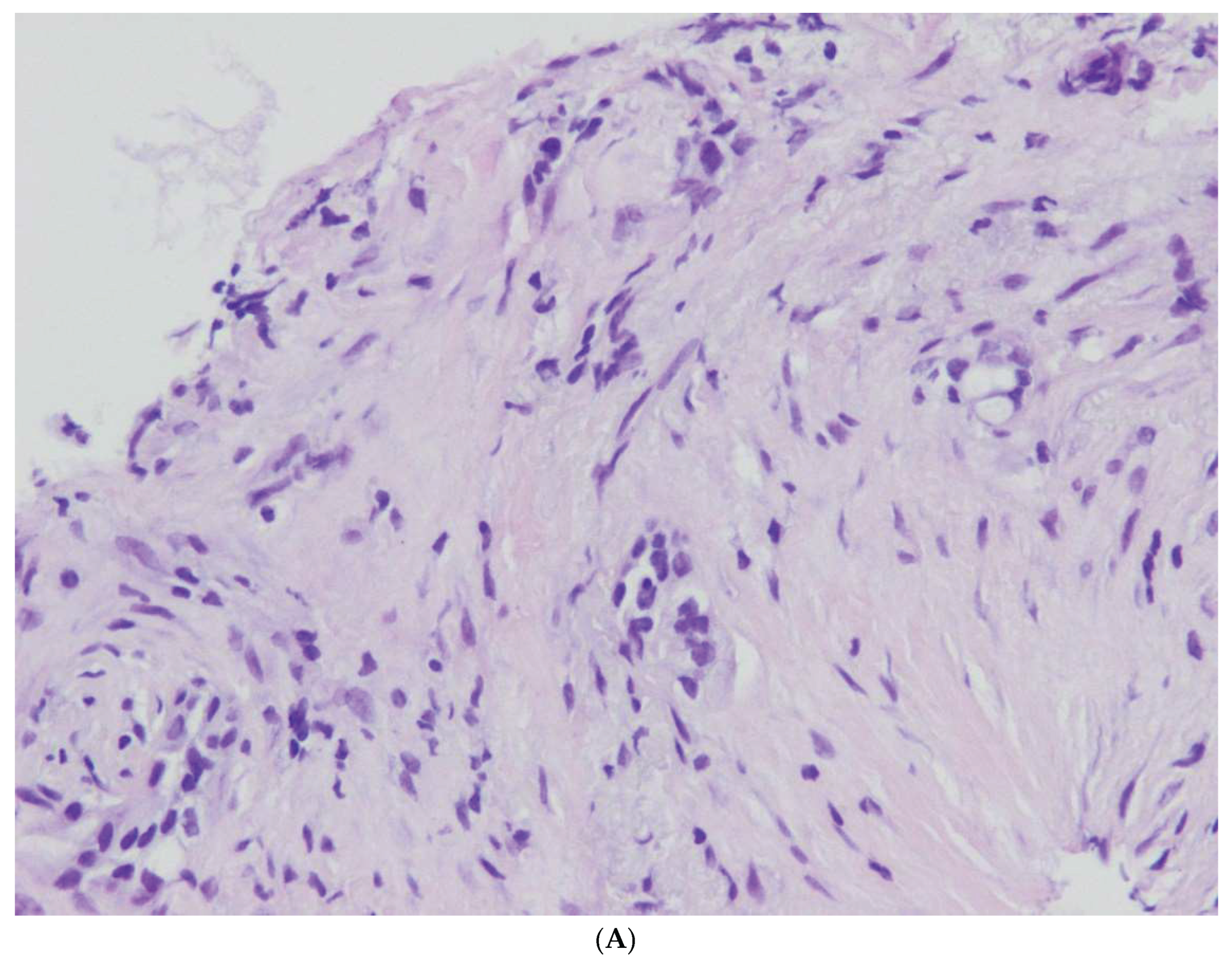 Preprints 166141 g004a