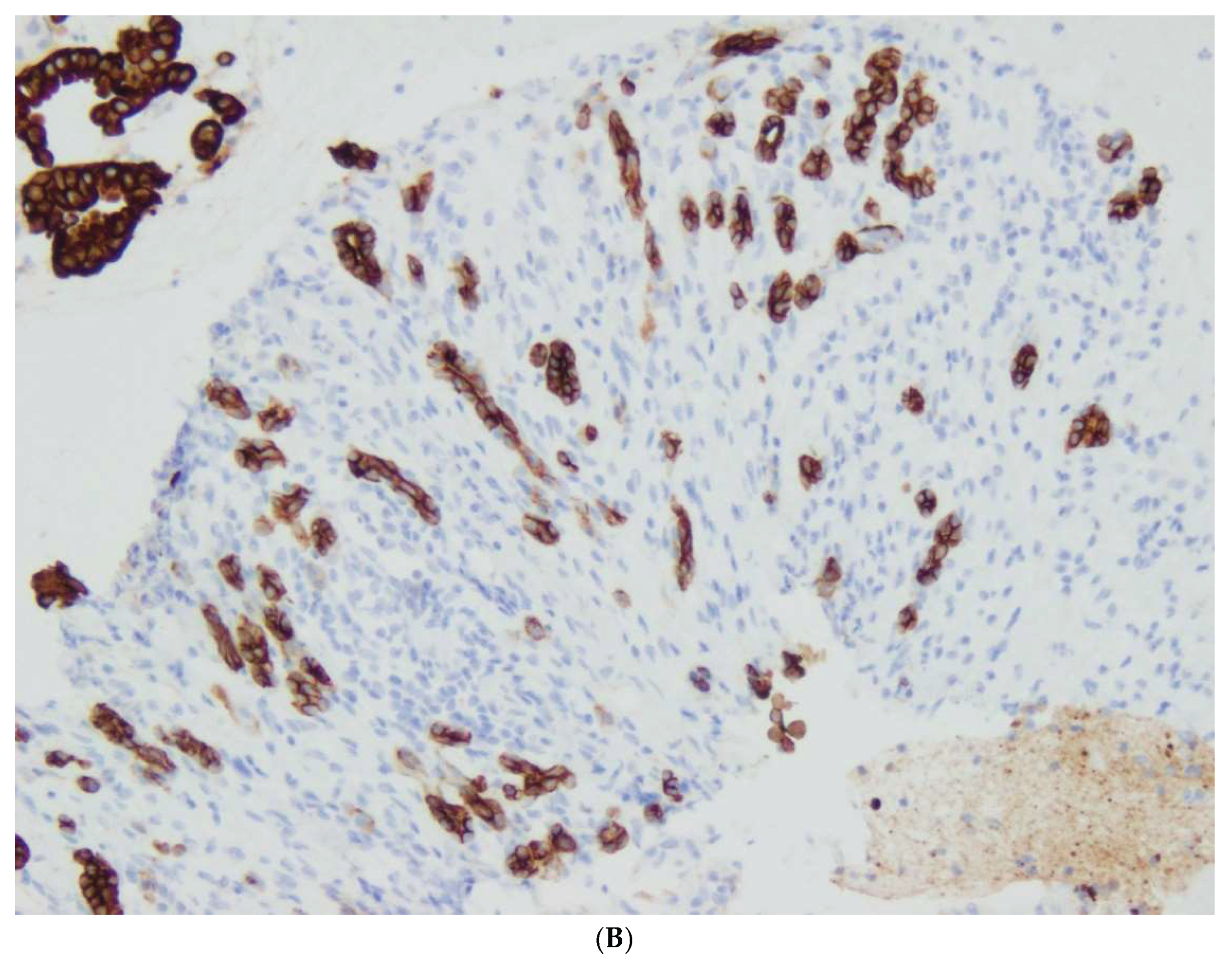 Preprints 166141 g004b