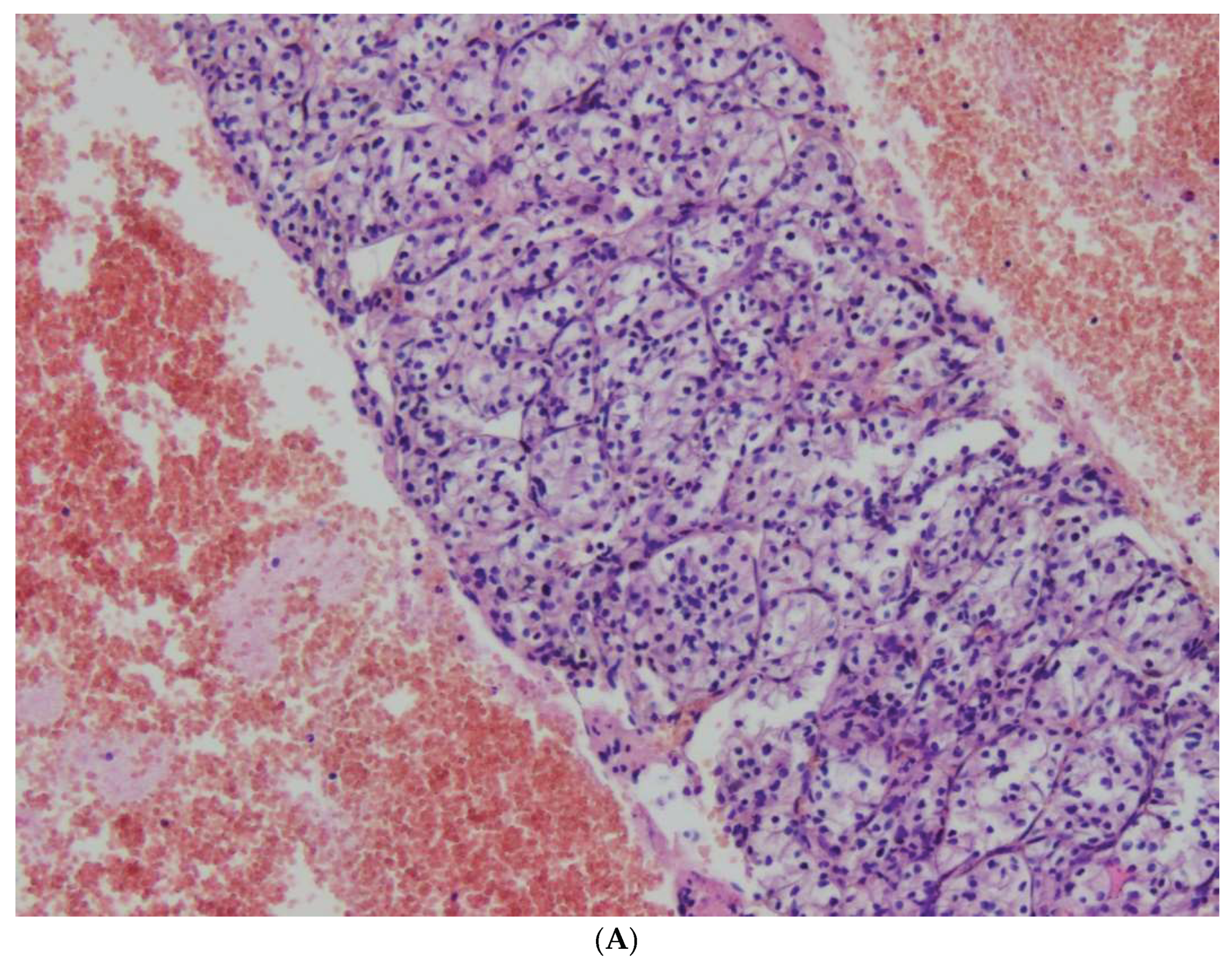 Preprints 166141 g005a