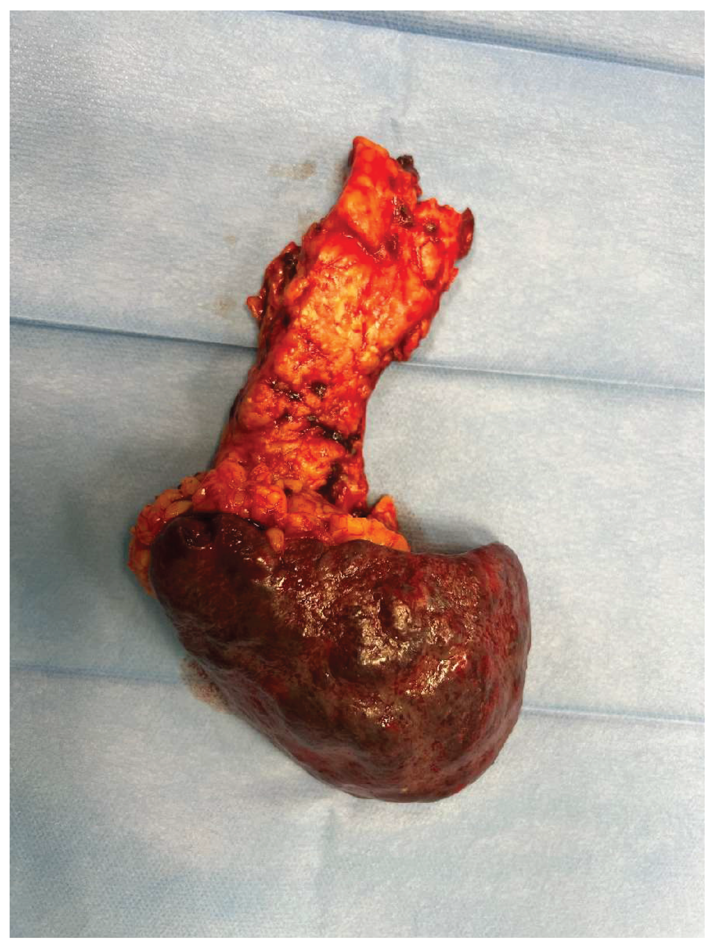 Preprints 166141 g006