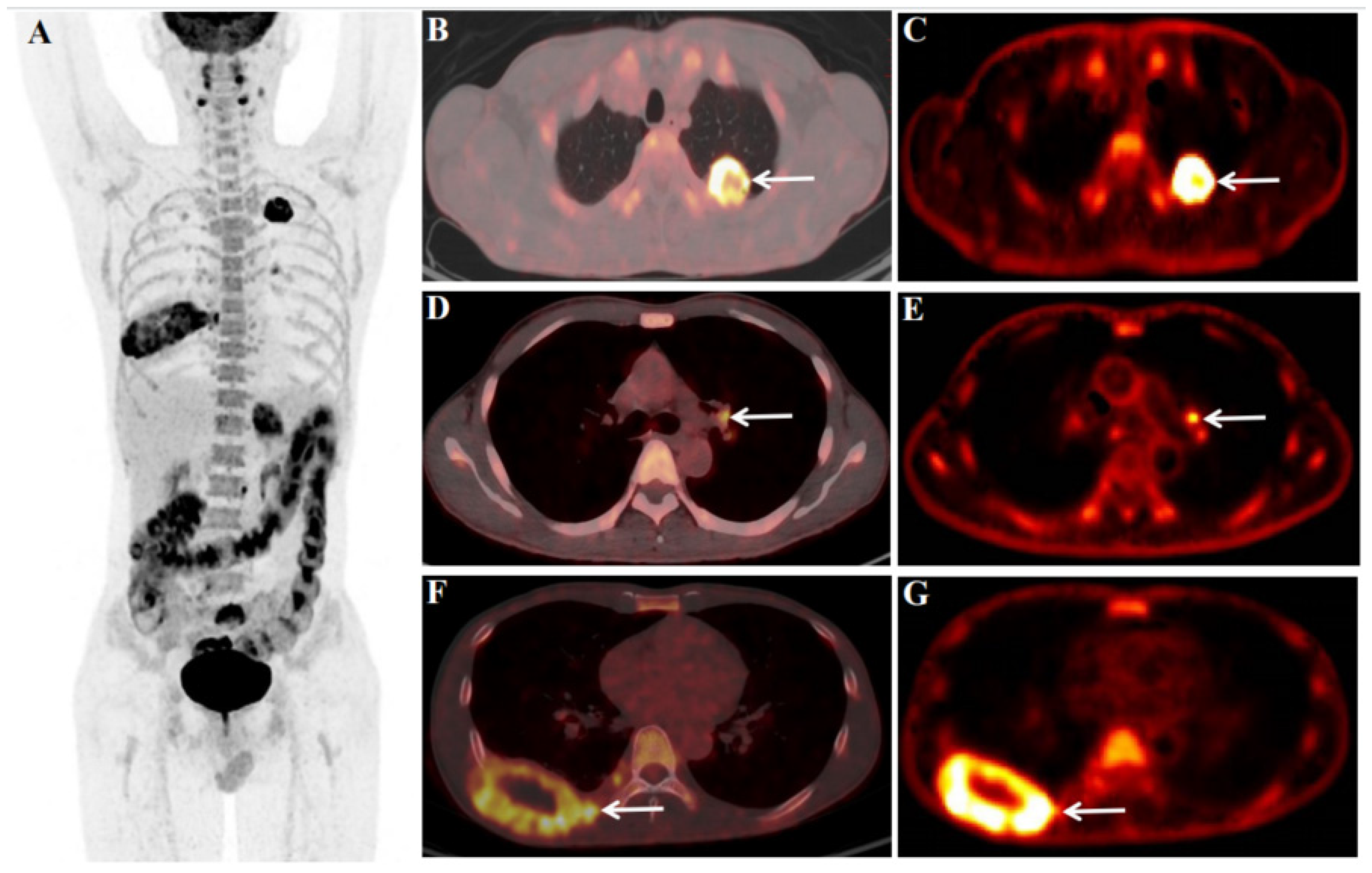 Preprints 73802 g001