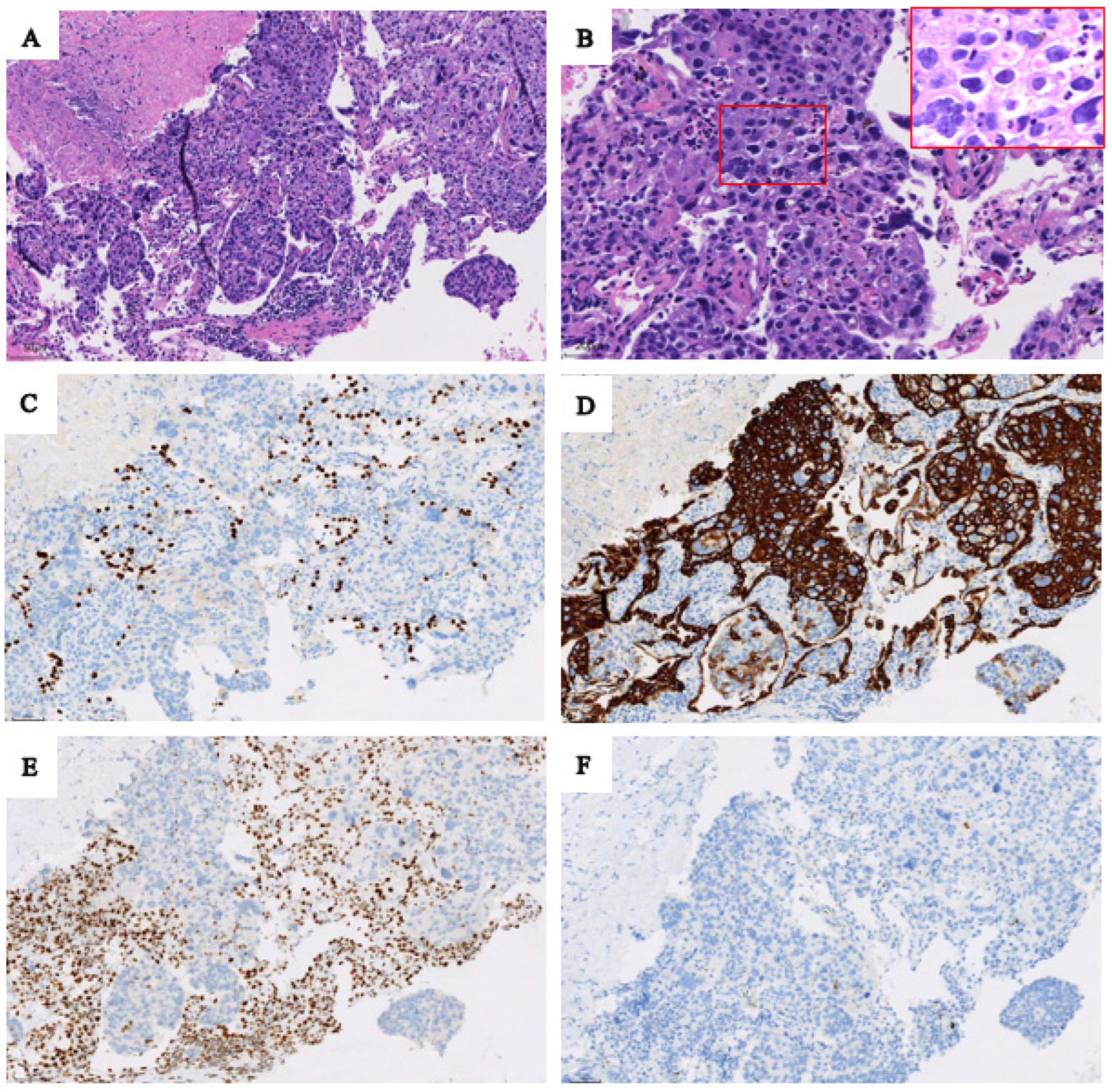 Preprints 73802 g002